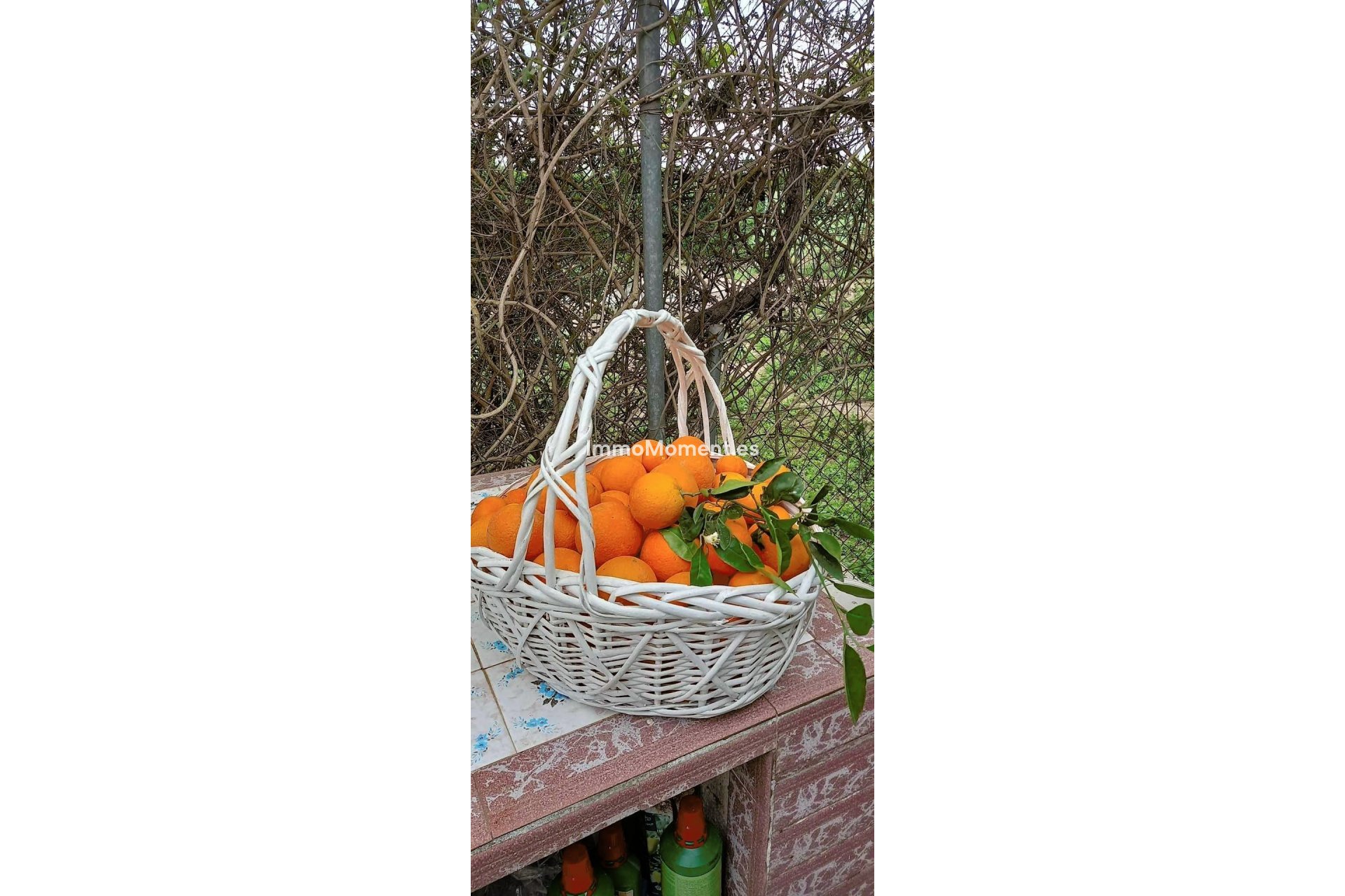 Bestaande woning - Landhuis - Dolores - Dolores Centro