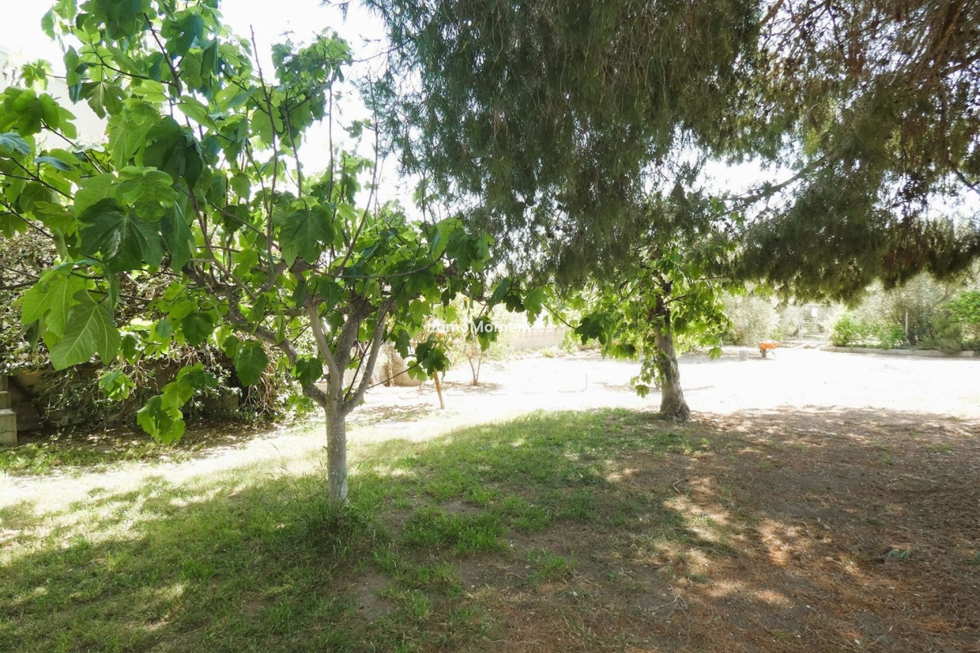 Bestaande woning - Landhuis - Dolores - Dolores Centro