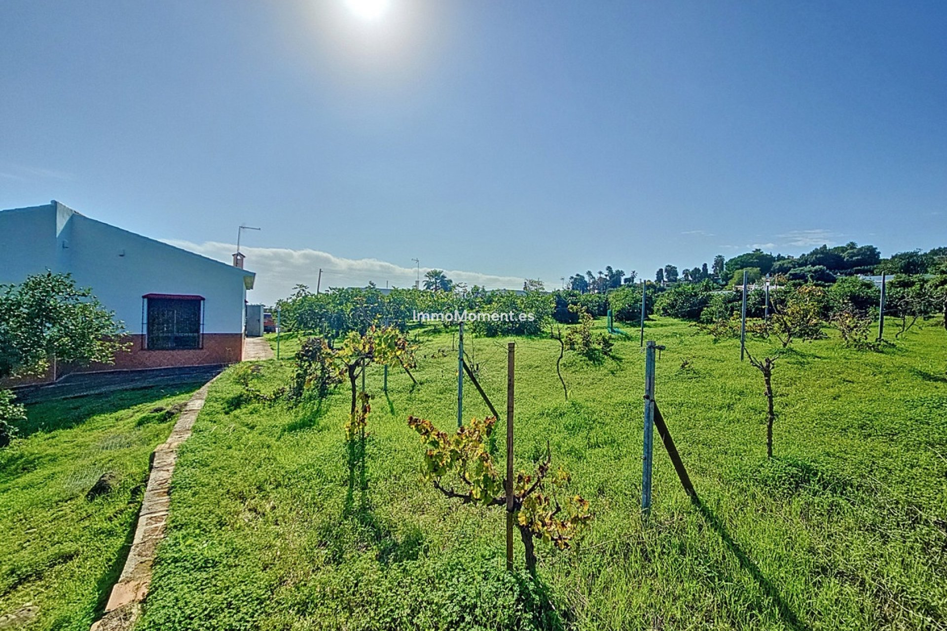 Bestaande woning - Landhuis - Estepona  - El Padron