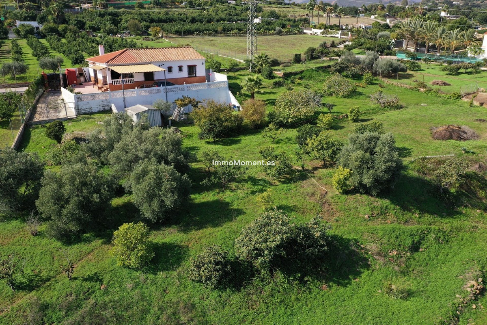 Bestaande woning - Landhuis - Estepona  - El Padron