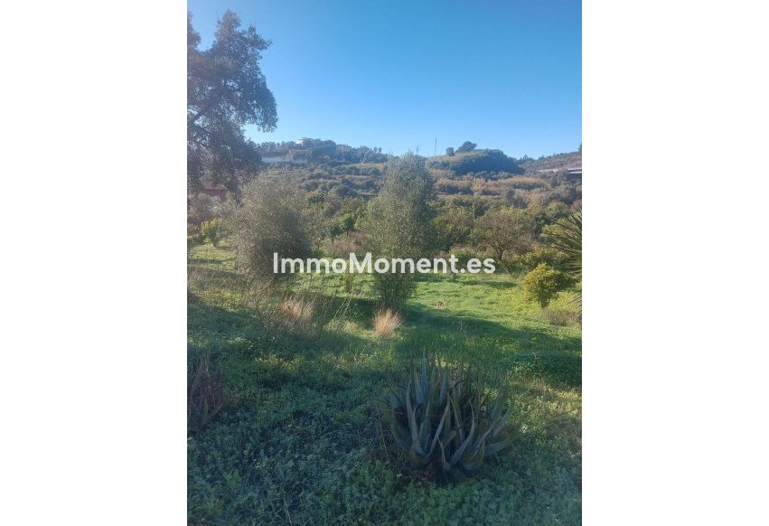 Bestaande woning - Landhuis - Estepona  - Estepona Centro