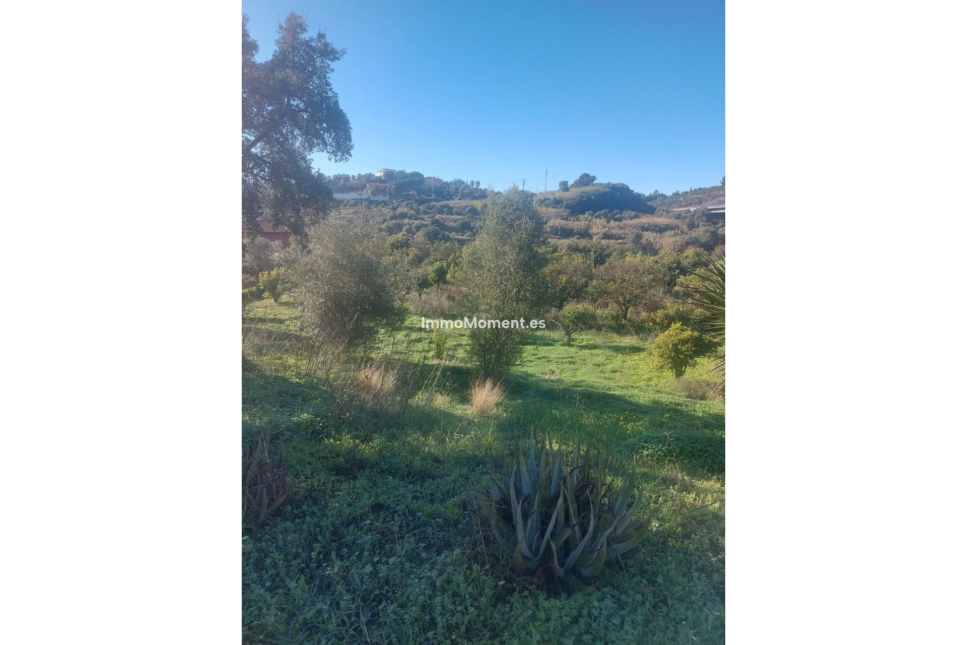 Bestaande woning - Landhuis - Estepona  - Estepona Centro