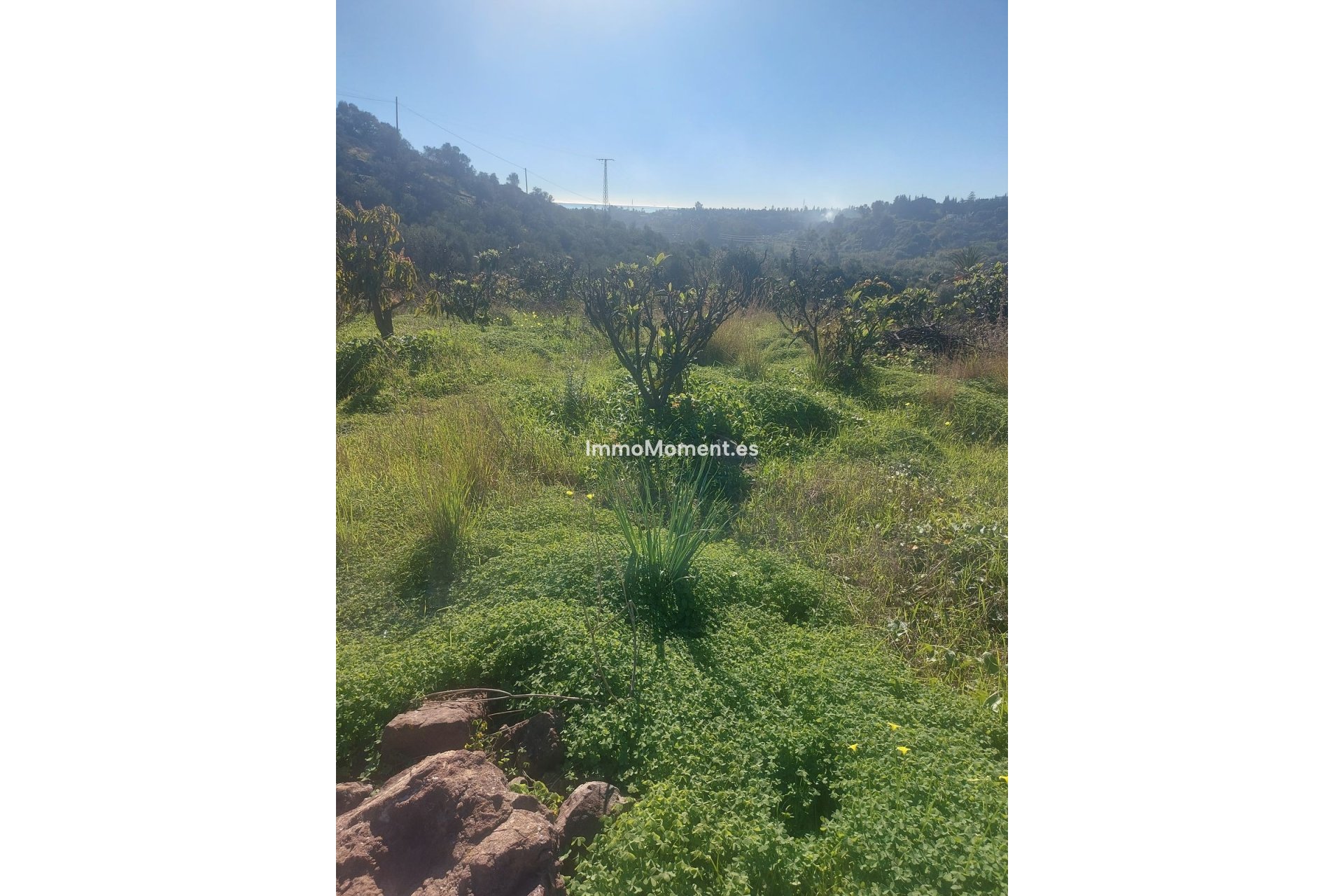 Bestaande woning - Landhuis - Estepona  - Estepona Centro