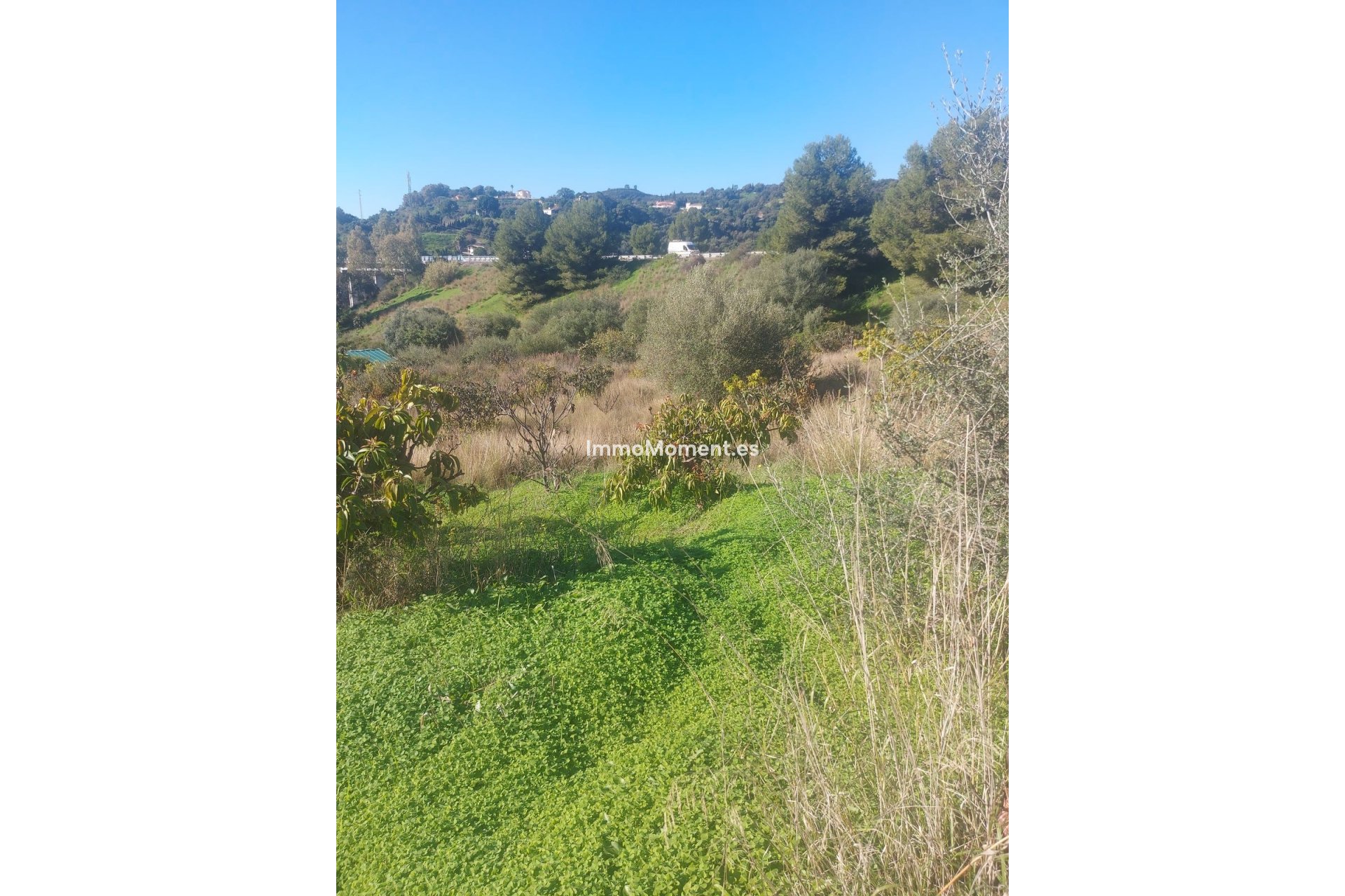 Bestaande woning - Landhuis - Estepona  - Estepona Centro