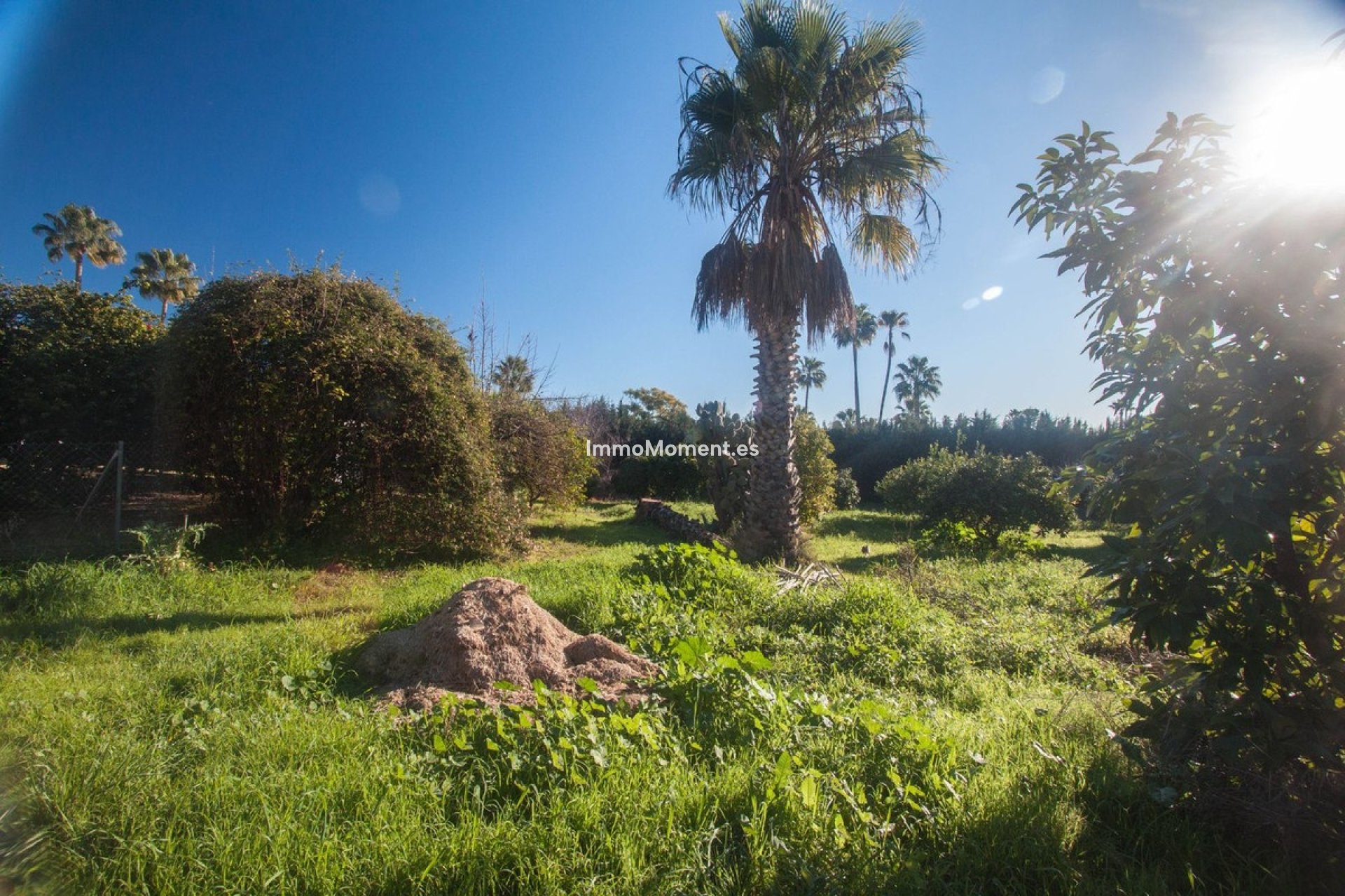 Bestaande woning - Landhuis - Estepona  - Estepona Centro