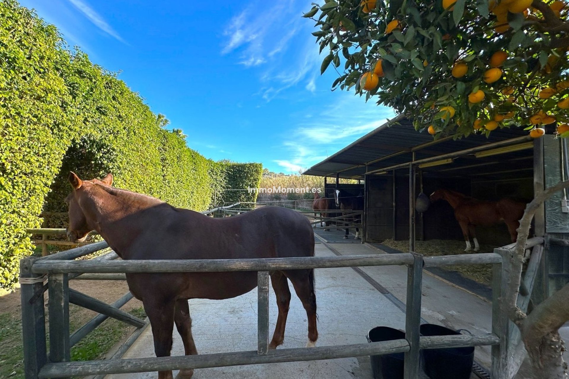 Bestaande woning - Landhuis - Estepona  - Estepona Centro