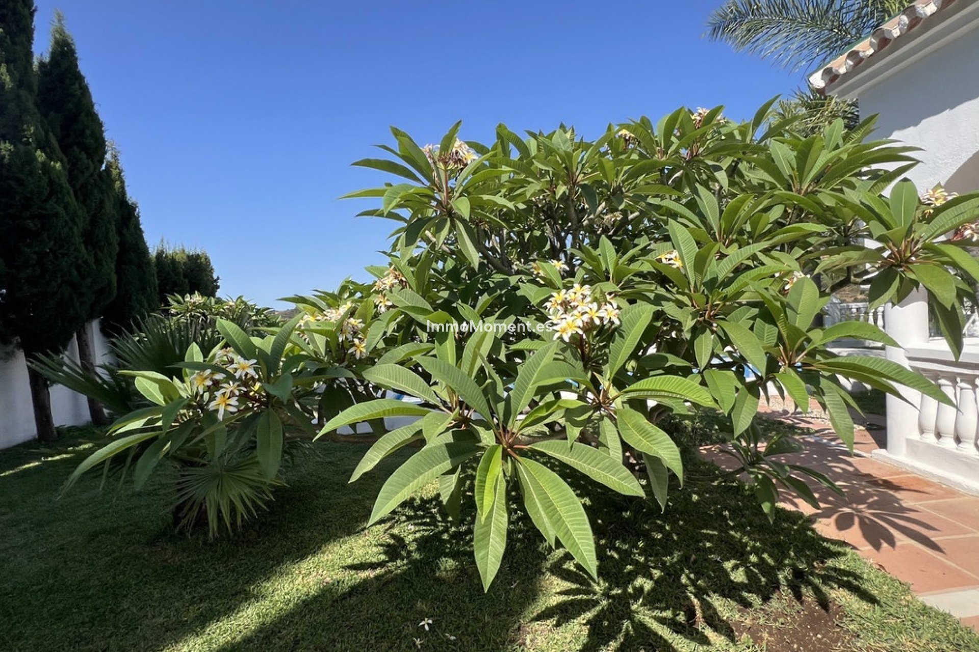 Bestaande woning - Landhuis - Estepona  - Estepona Centro