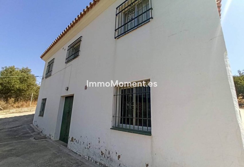 Bestaande woning - Landhuis - Estepona  - Estepona Centro