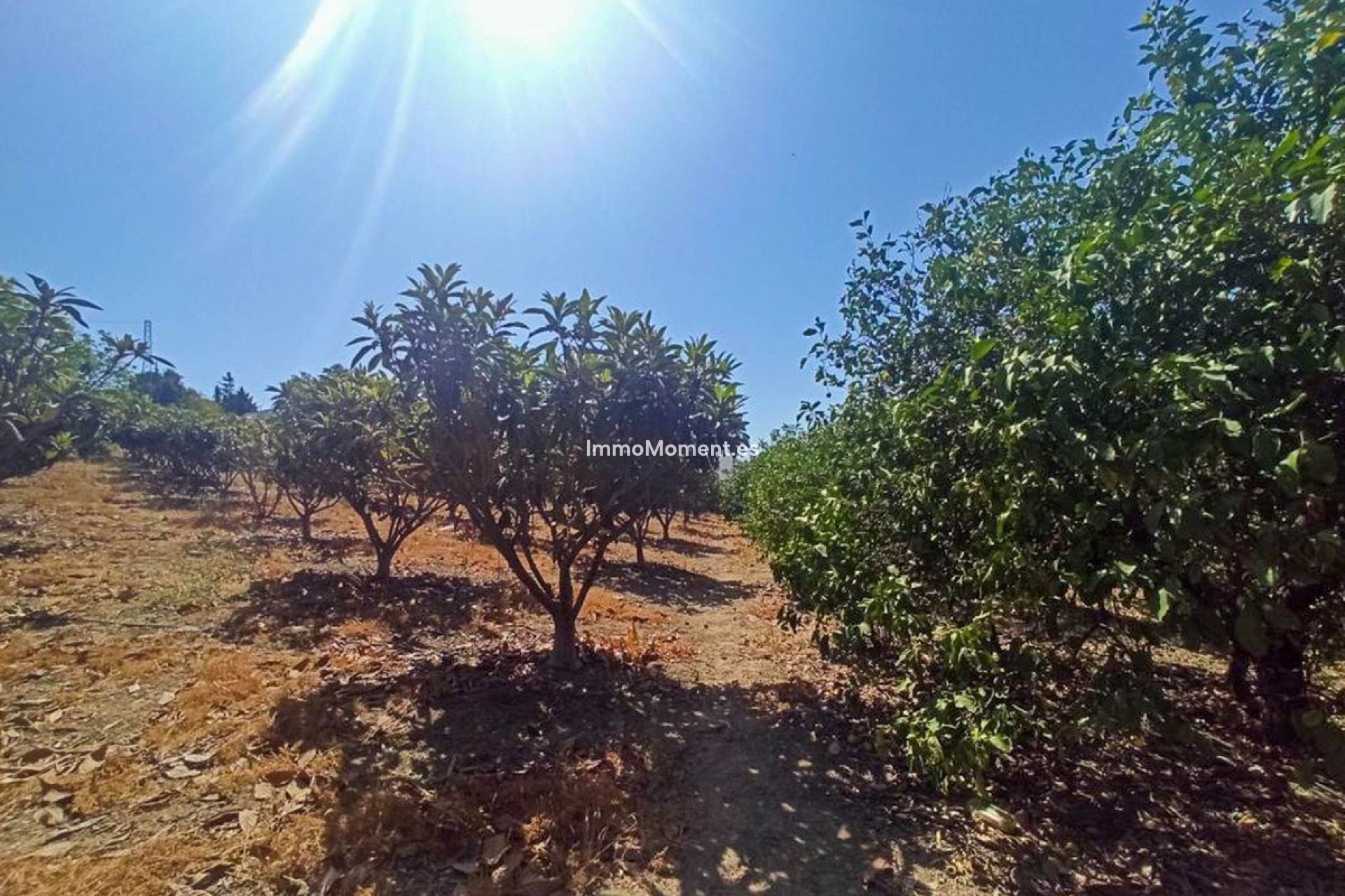 Bestaande woning - Landhuis - Estepona  - Estepona Centro