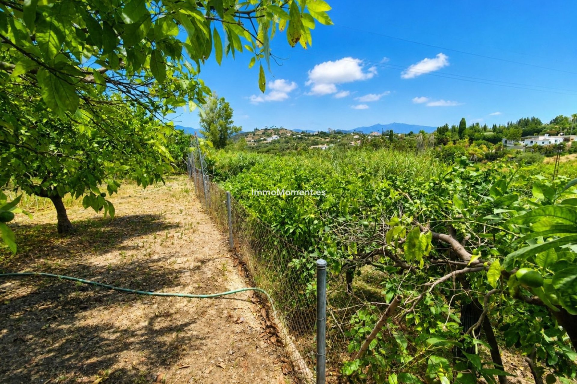 Bestaande woning - Landhuis - Estepona  - Estepona Centro
