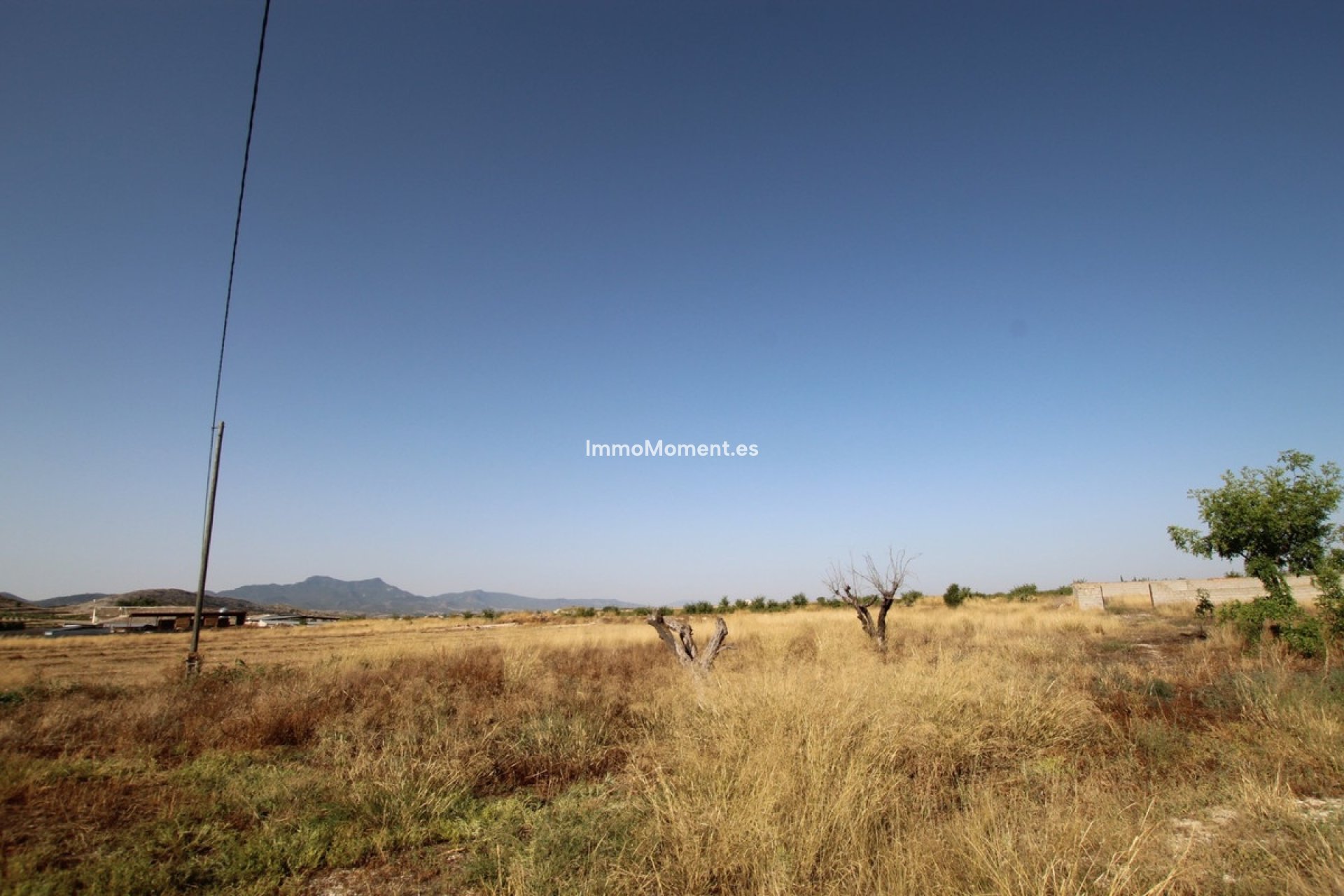 Bestaande woning - Landhuis - Jumilla - Torre Del Rico