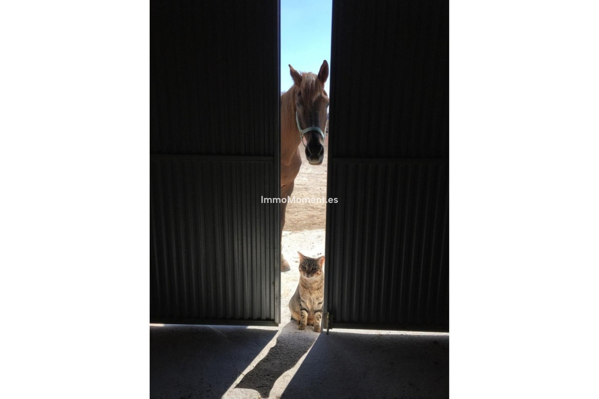 Bestaande woning - Landhuis - Jumilla - Torre Del Rico