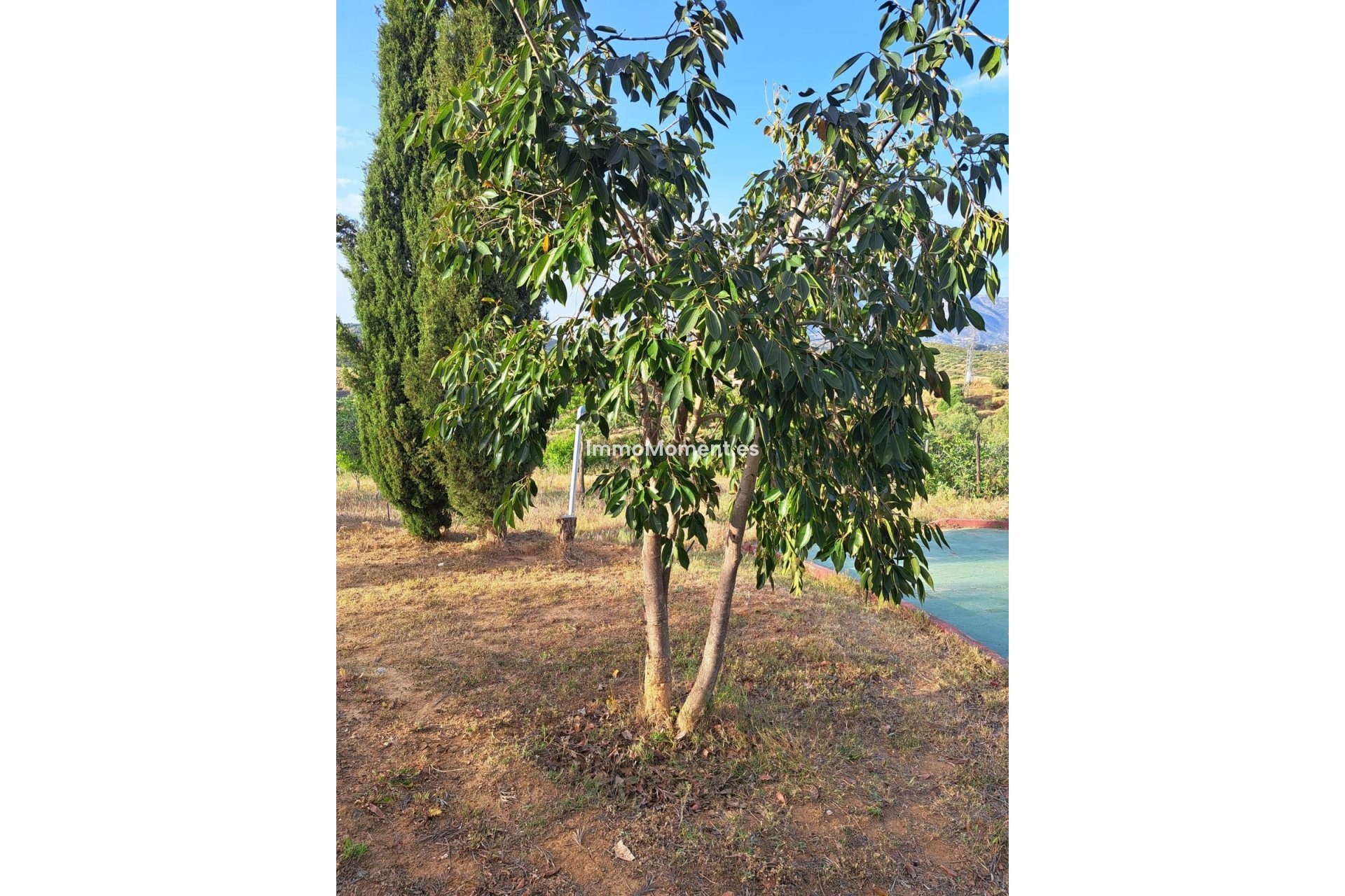 Bestaande woning - Landhuis - Mijas - La Cala de Mijas