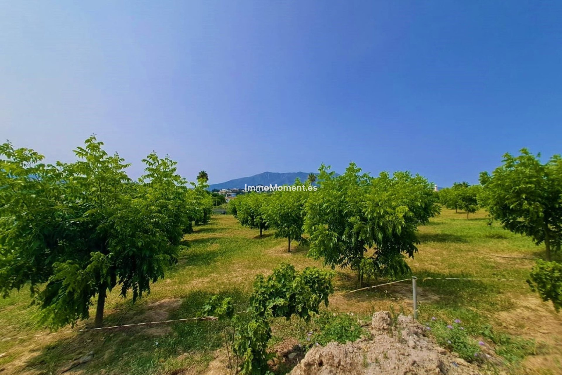 Bestaande woning - Landhuis - Mijas - Las Lagunas de Mijas