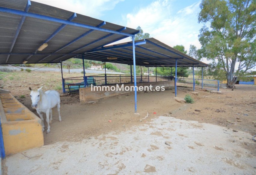 Bestaande woning - Landhuis - Mijas - Mijas Centro