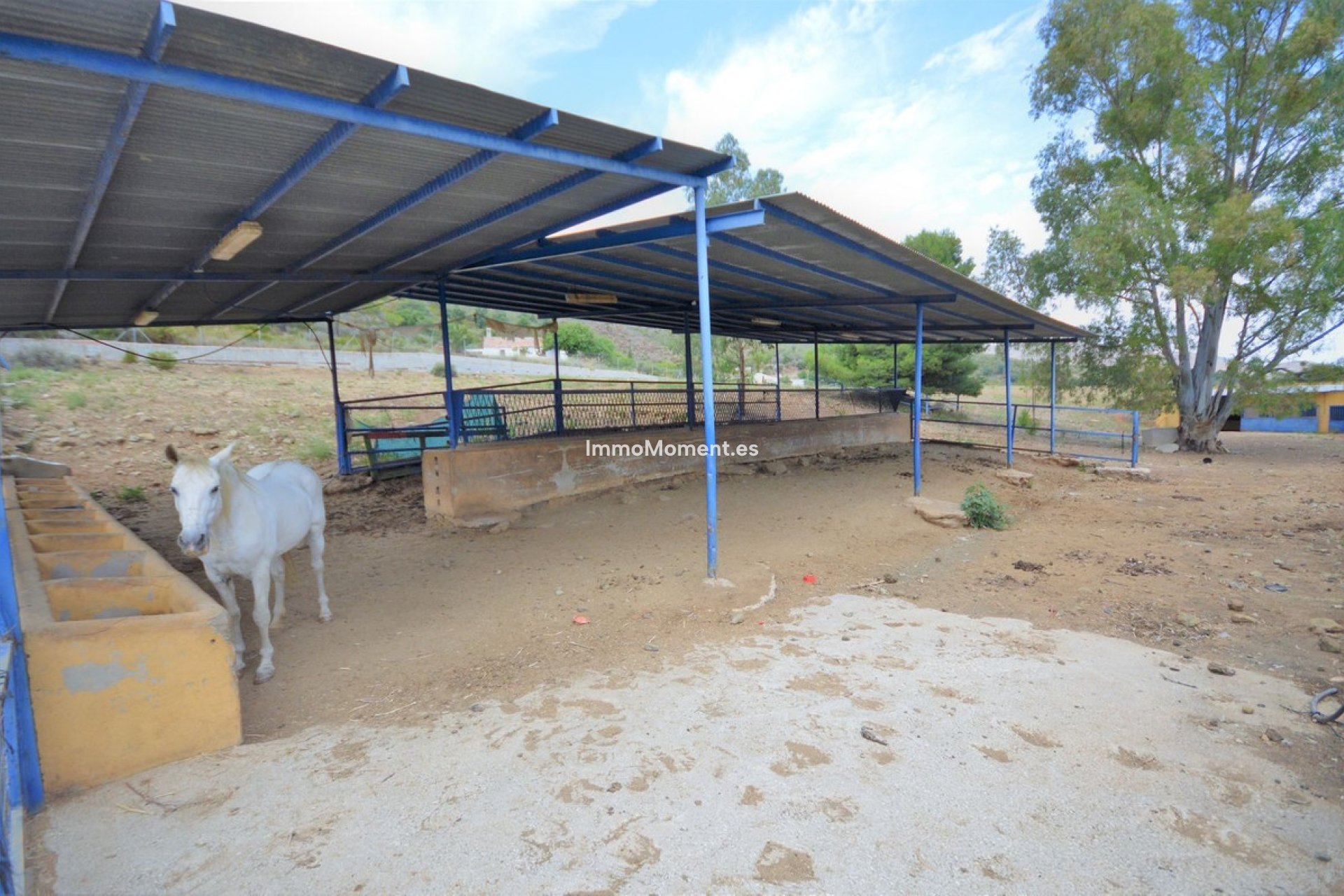 Bestaande woning - Landhuis - Mijas - Mijas Centro