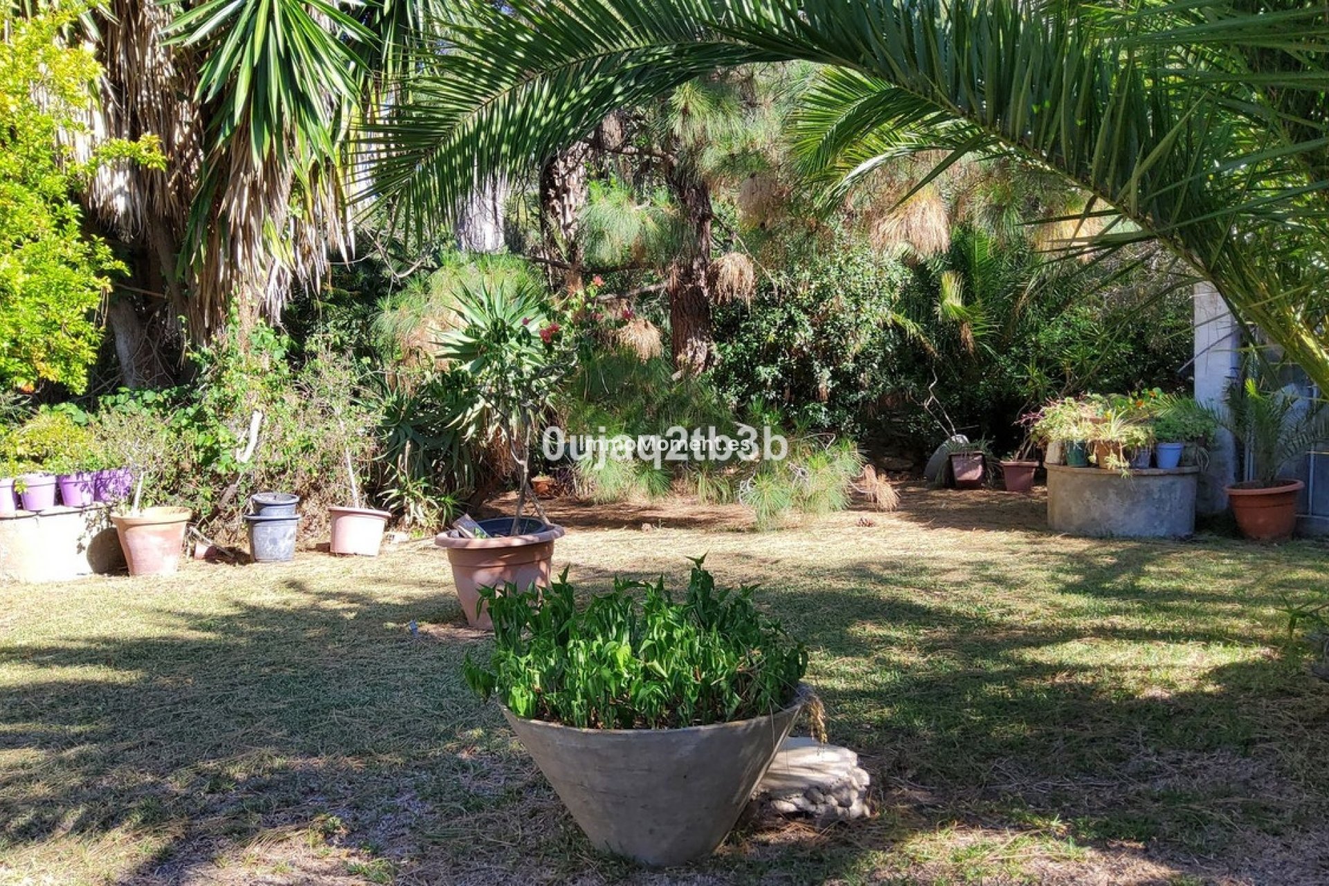 Bestaande woning - Landhuis - Mijas - Mijas Centro