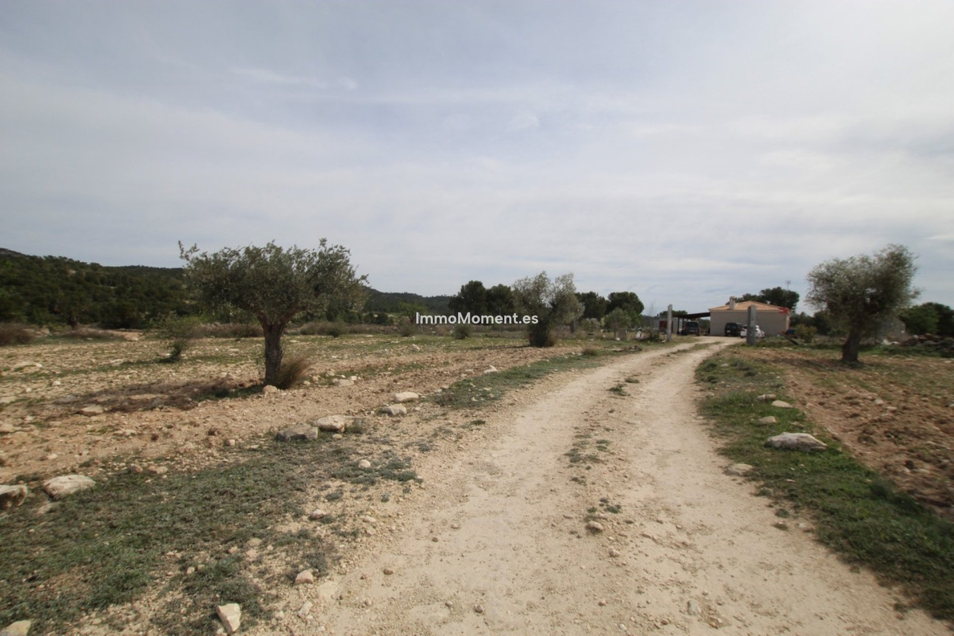 Bestaande woning - Landhuis - Monóvar - Monòver - Monóvar - Monòver Centro