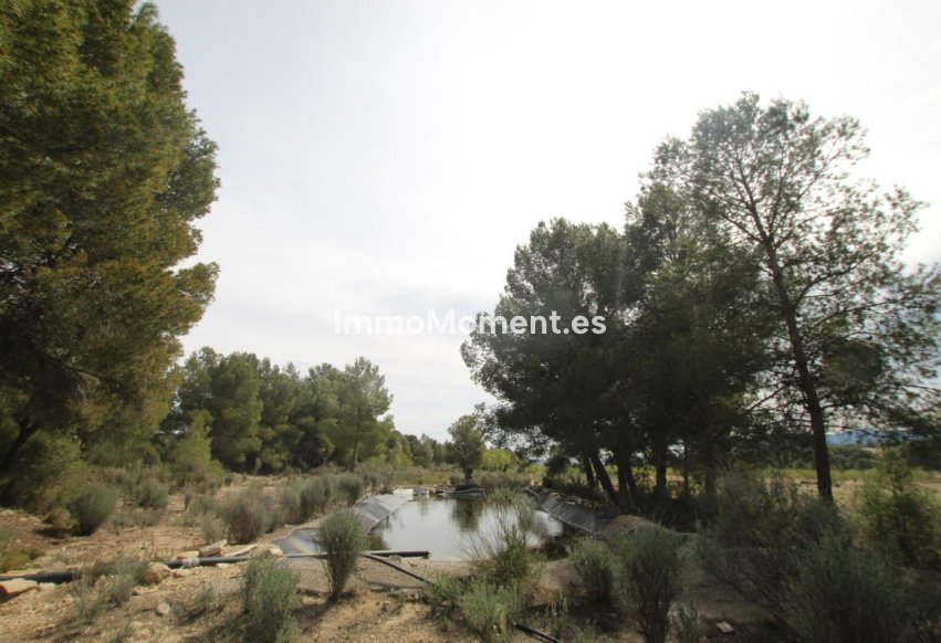 Bestaande woning - Landhuis - Monóvar - Monòver - Monóvar - Monòver Centro