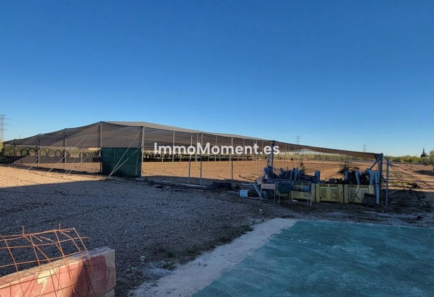 Bestaande woning - Landhuis - San Miguel de Salinas - San Miguel de Salinas Centro