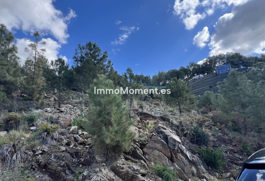 Bestaande woning - Perceel - Benahavís - El Madroñal