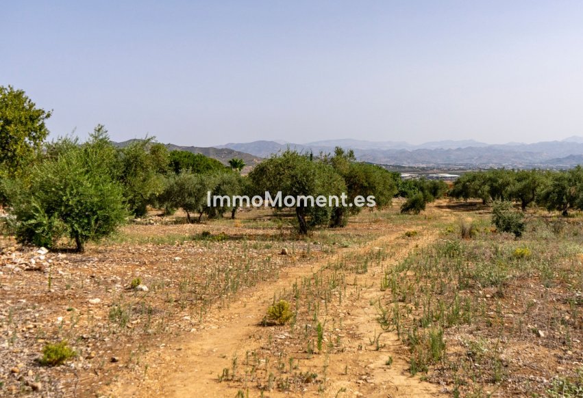 Bestaande woning - Perceel - Binnenland  - Alhaurín de la Torre