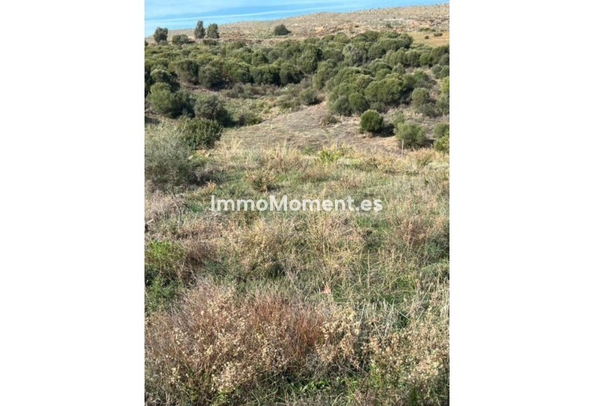 Bestaande woning - Perceel - Estepona  - Bel Air