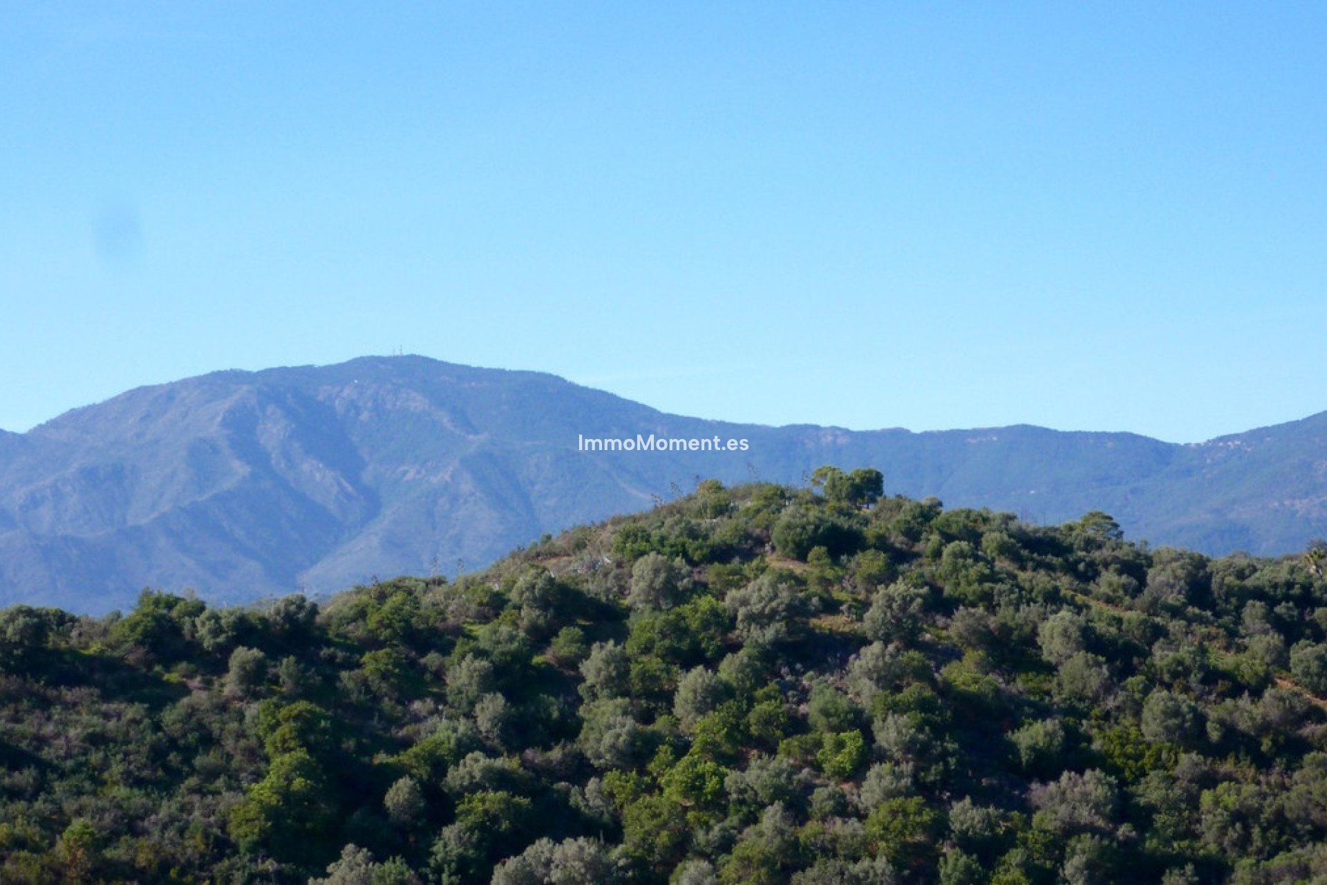 Bestaande woning - Perceel - Estepona  - Estepona Centro