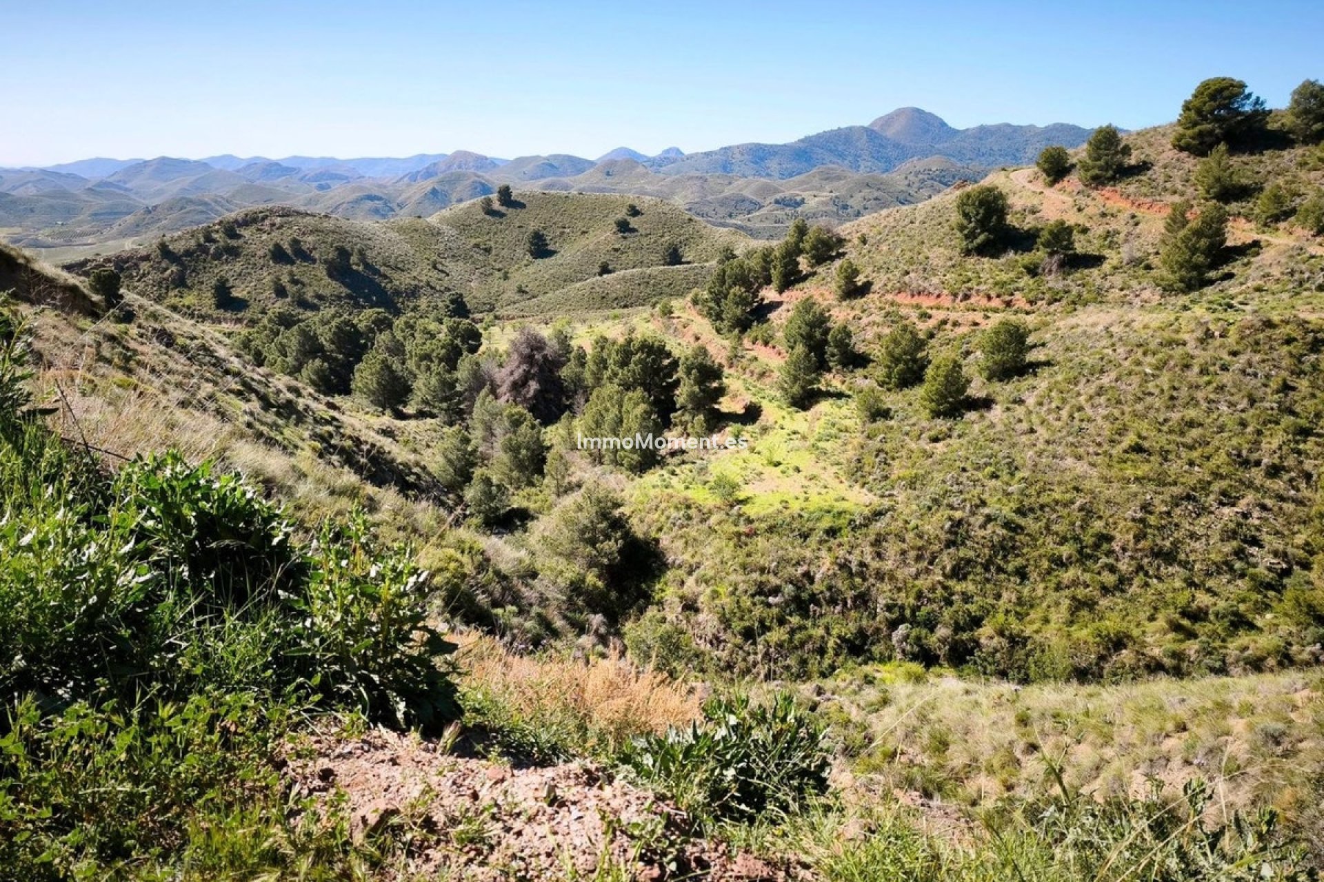 Bestaande woning - Perceel - Lorca - Lorca Centro