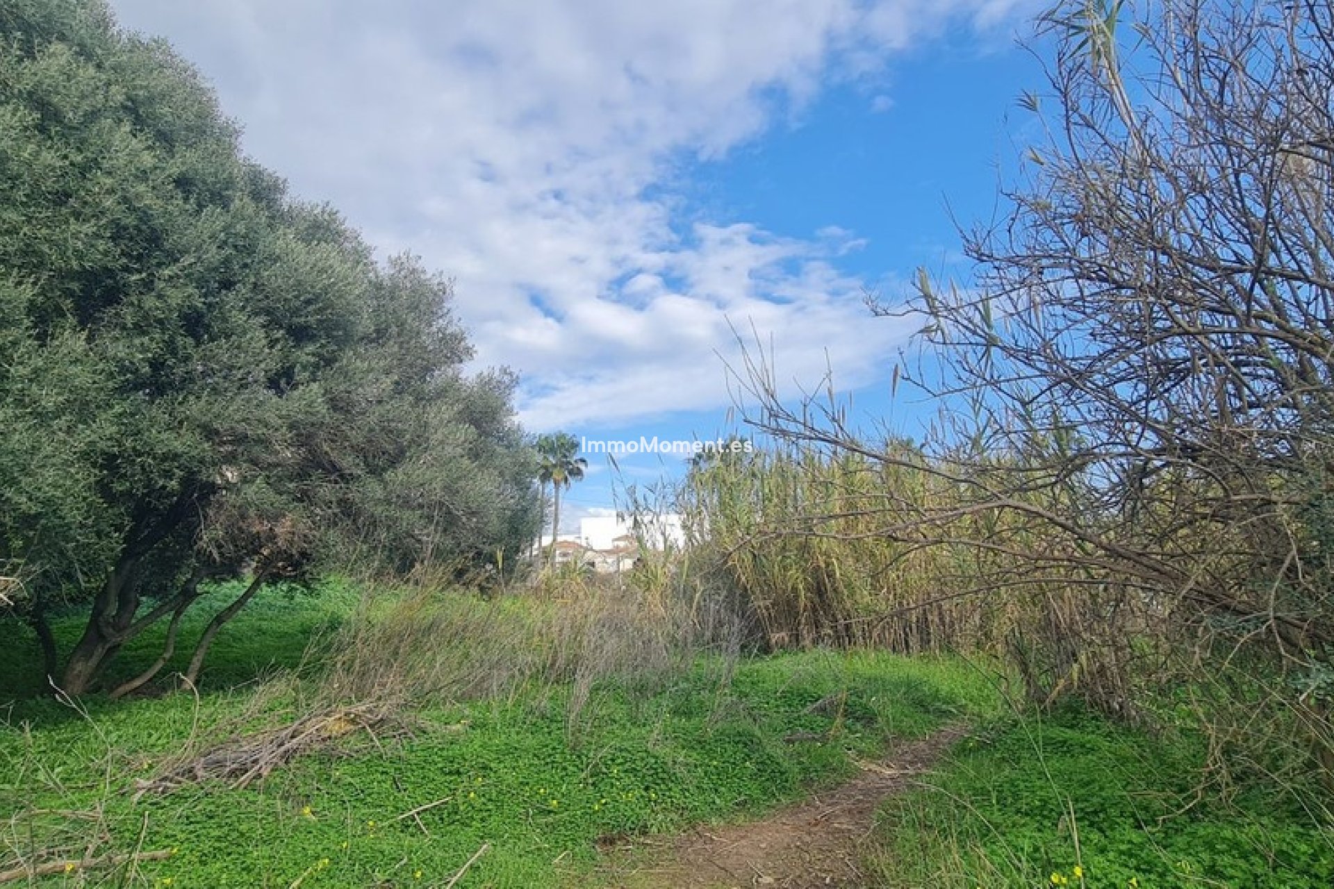 Bestaande woning - Perceel - Mijas - Campo Mijas