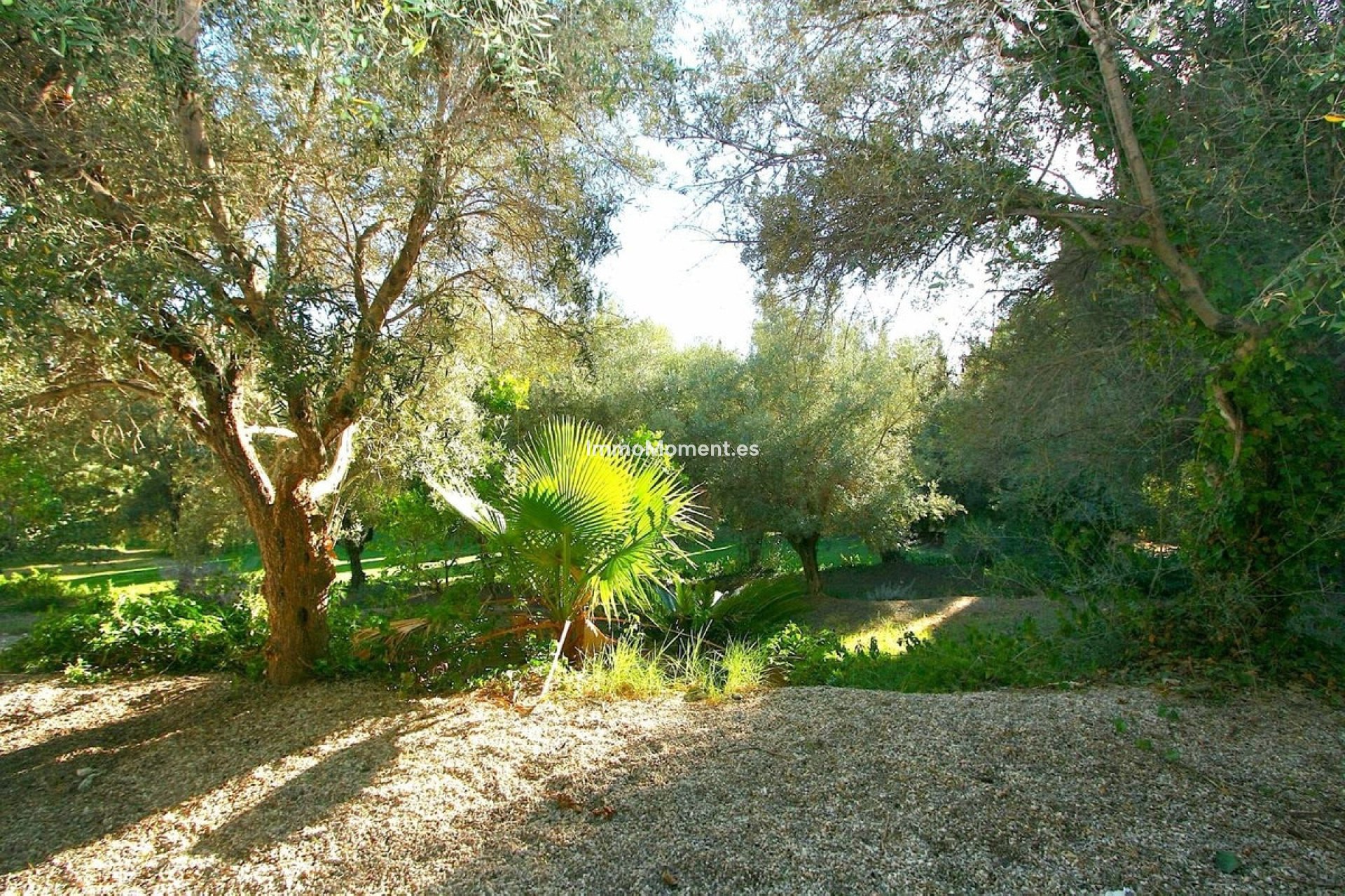 Bestaande woning - Perceel - Mijas - Mijas Centro