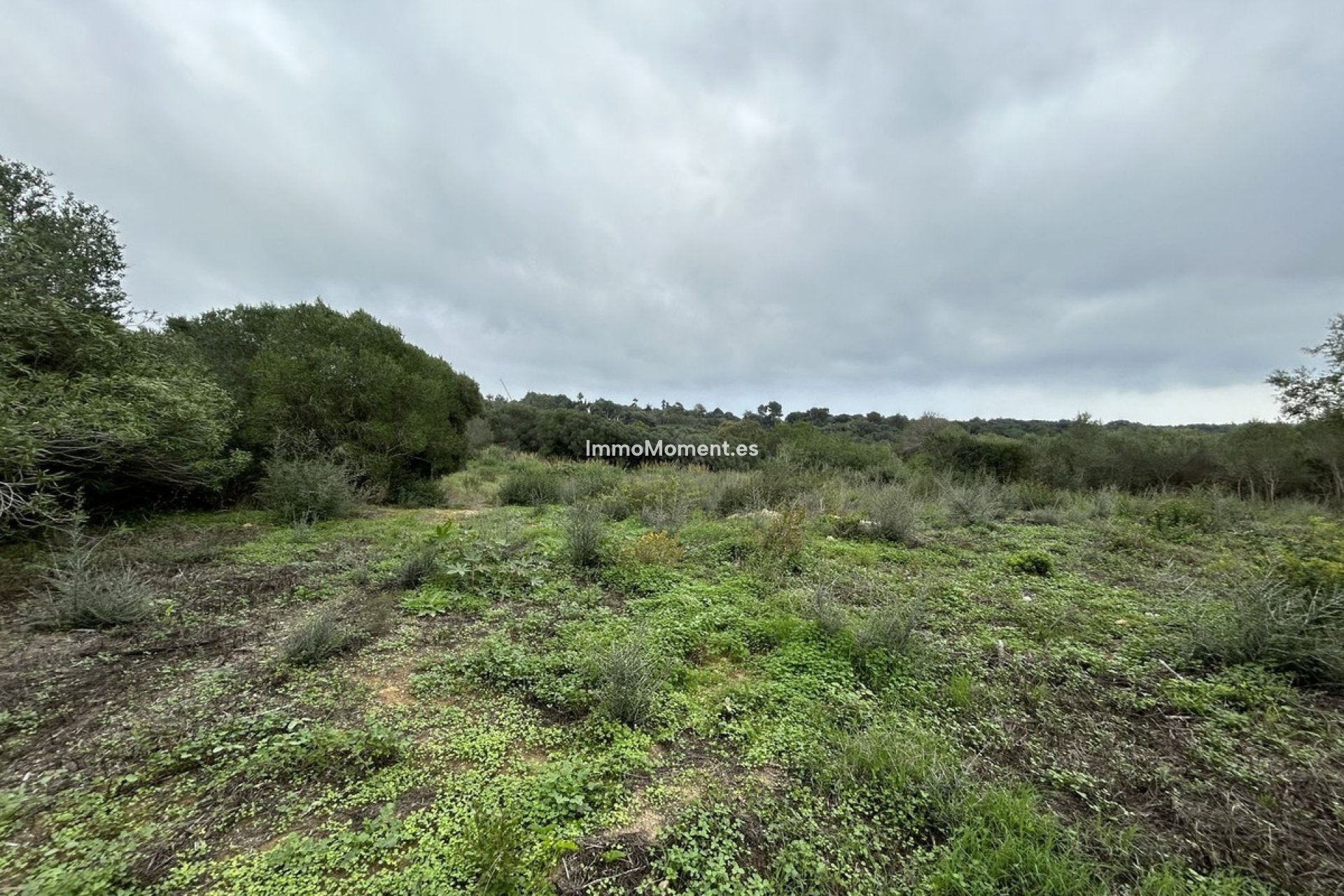Bestaande woning - Perceel - Sotogrande - Sotogrande Alto