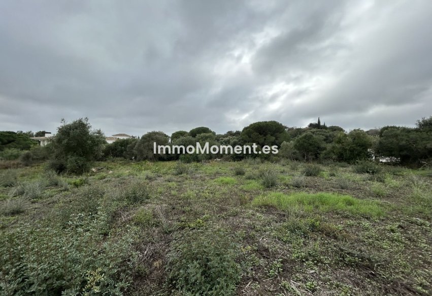 Bestaande woning - Perceel - Sotogrande - Sotogrande Alto