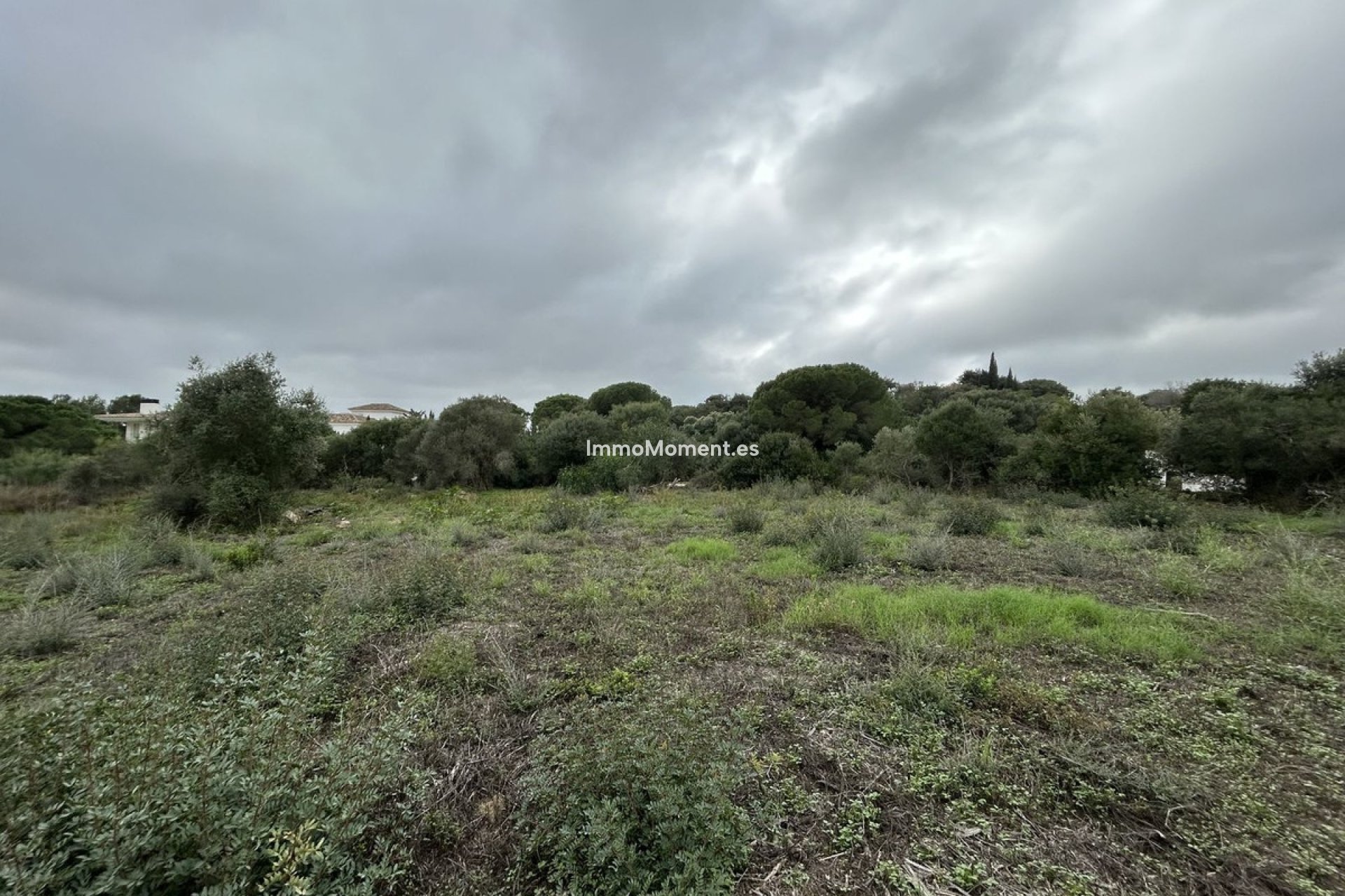 Bestaande woning - Perceel - Sotogrande - Sotogrande Alto