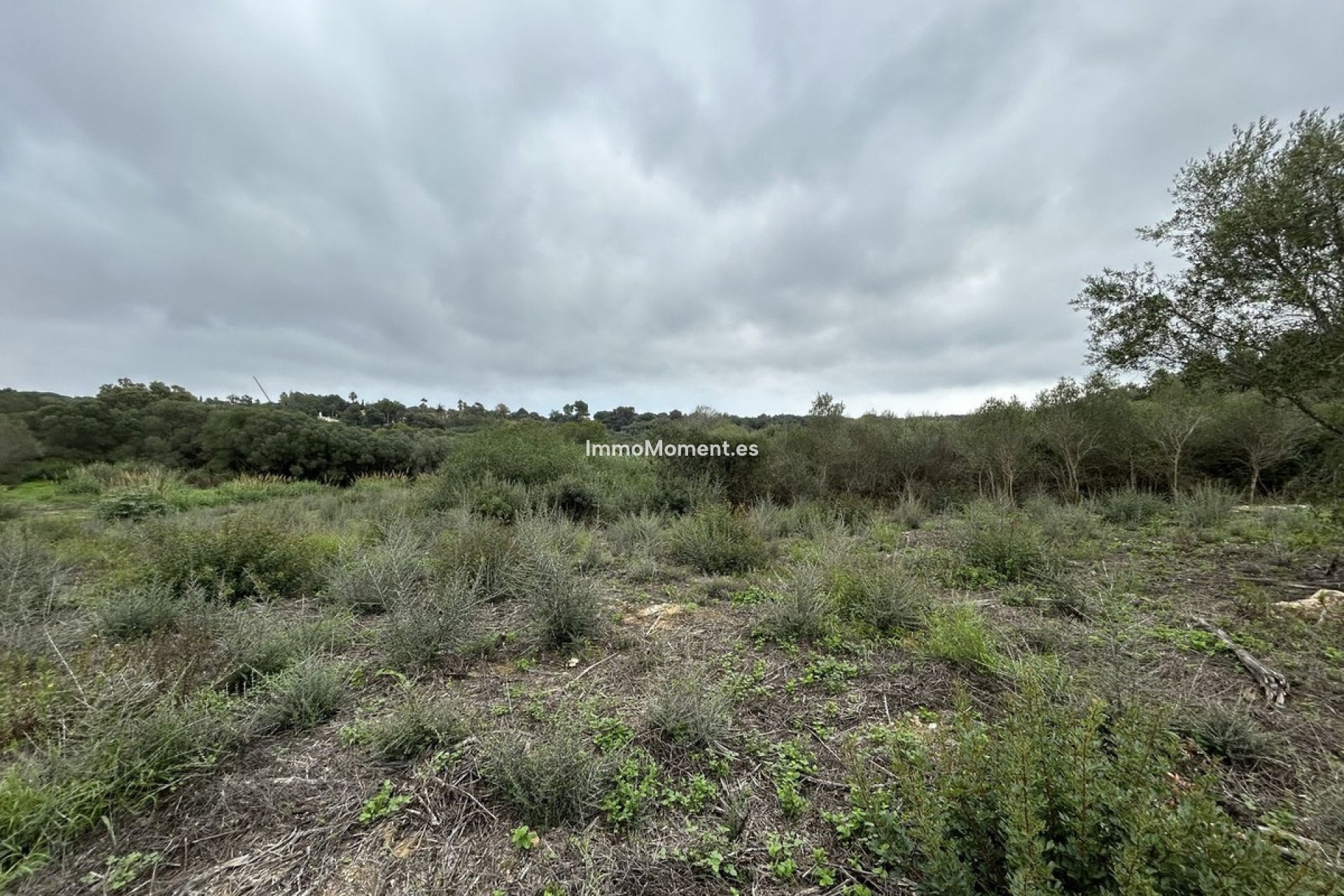 Bestaande woning - Perceel - Sotogrande - Sotogrande Alto