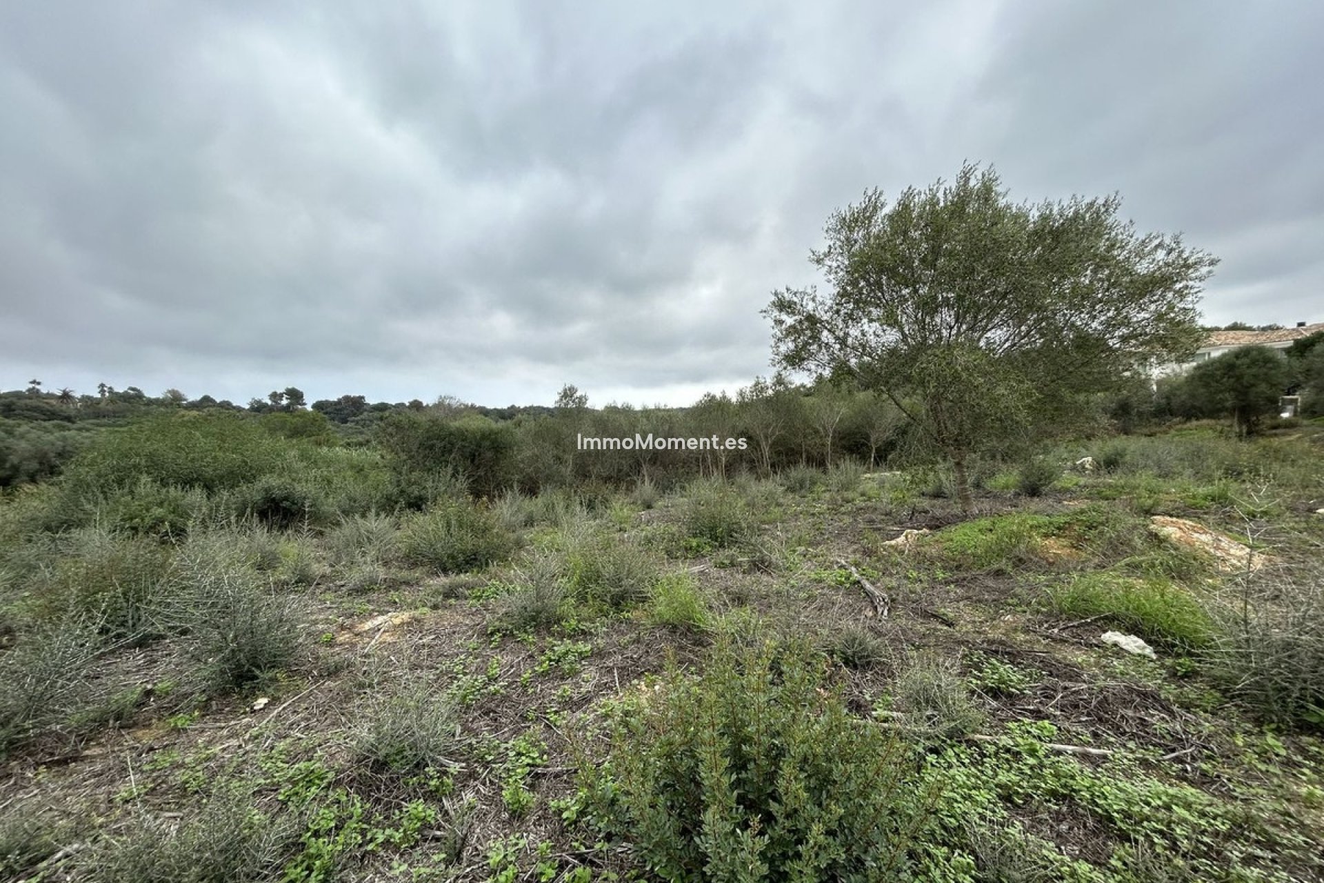 Bestaande woning - Perceel - Sotogrande - Sotogrande Alto