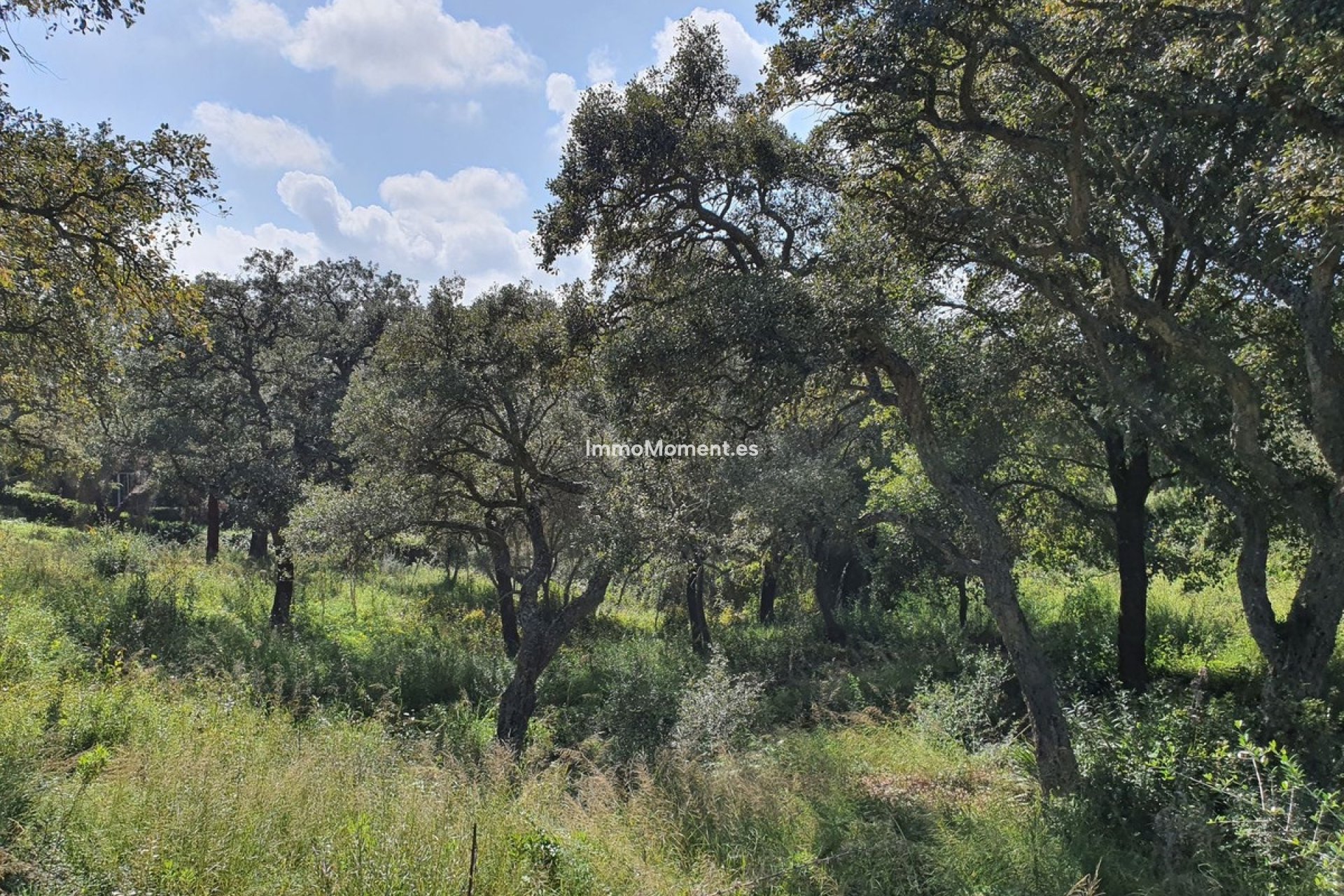 Bestaande woning - Perceel - Sotogrande - Sotogrande Alto
