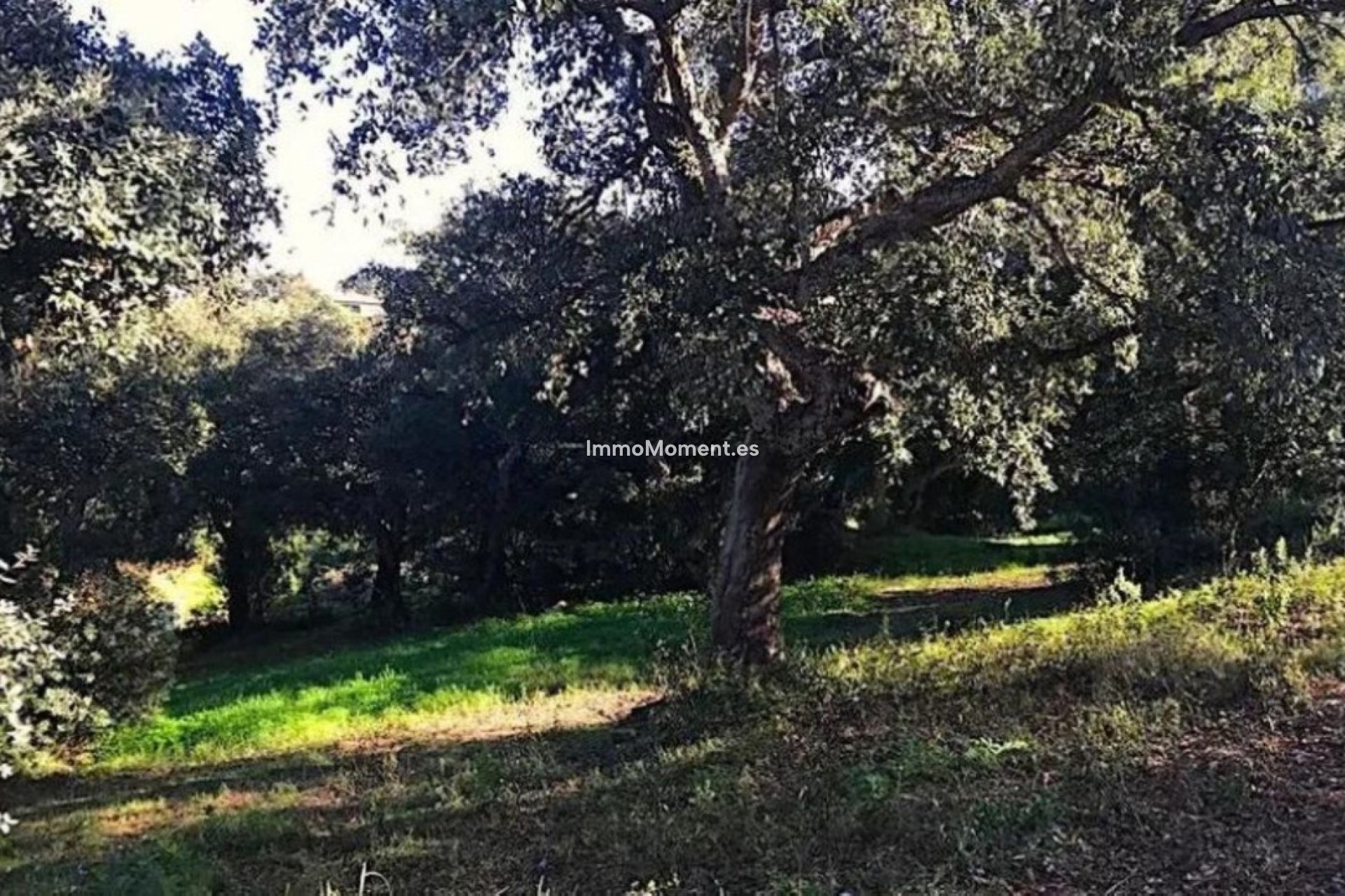 Bestaande woning - Perceel - Sotogrande - Sotogrande Alto
