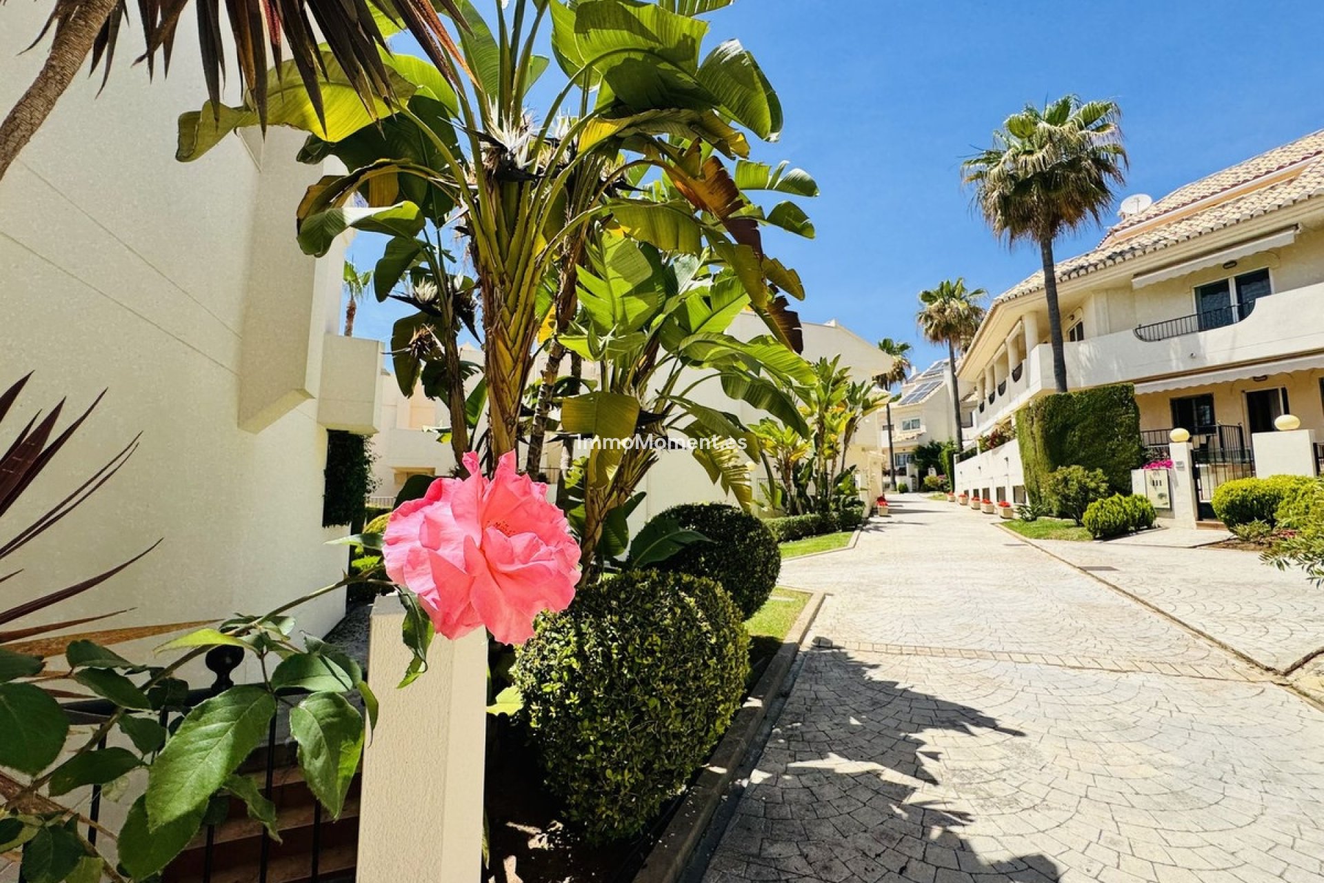 Bestaande woning - Rijtjeshuis - Marbella - Costabella