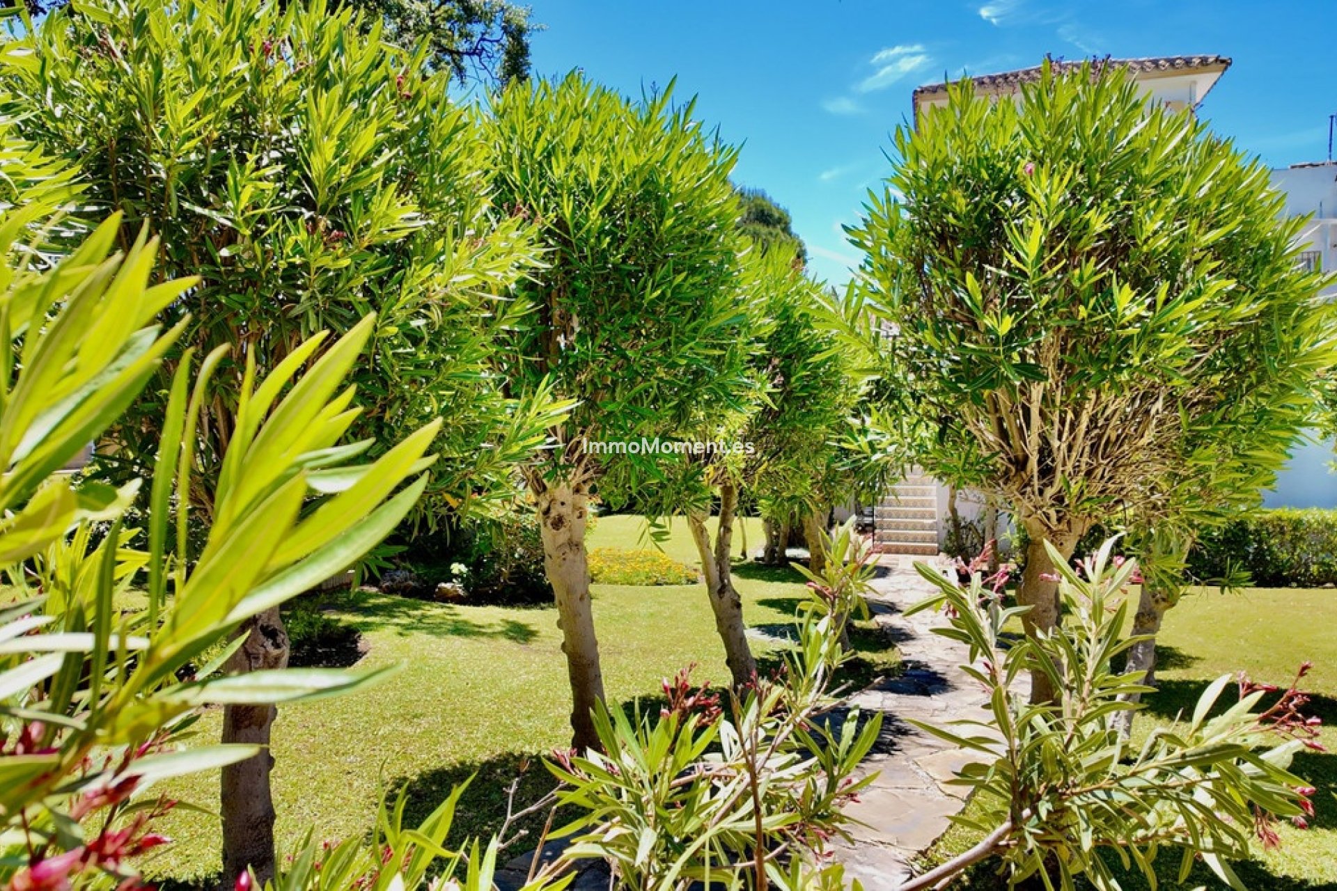 Bestaande woning - Rijtjeshuis - Marbella - Elviria