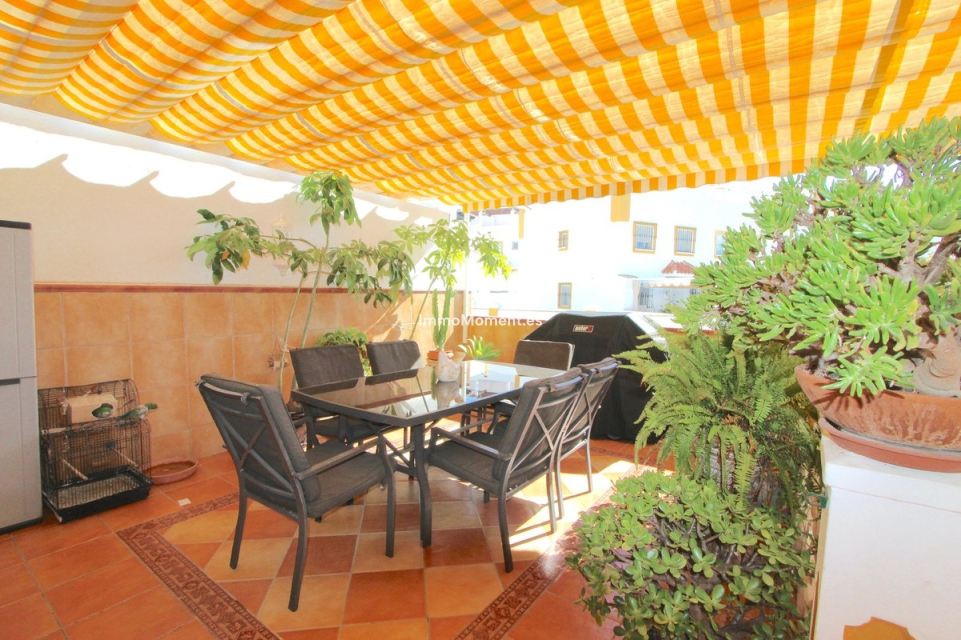 Bestaande woning - Rijtjeshuis - Marbella - Marbella Centro
