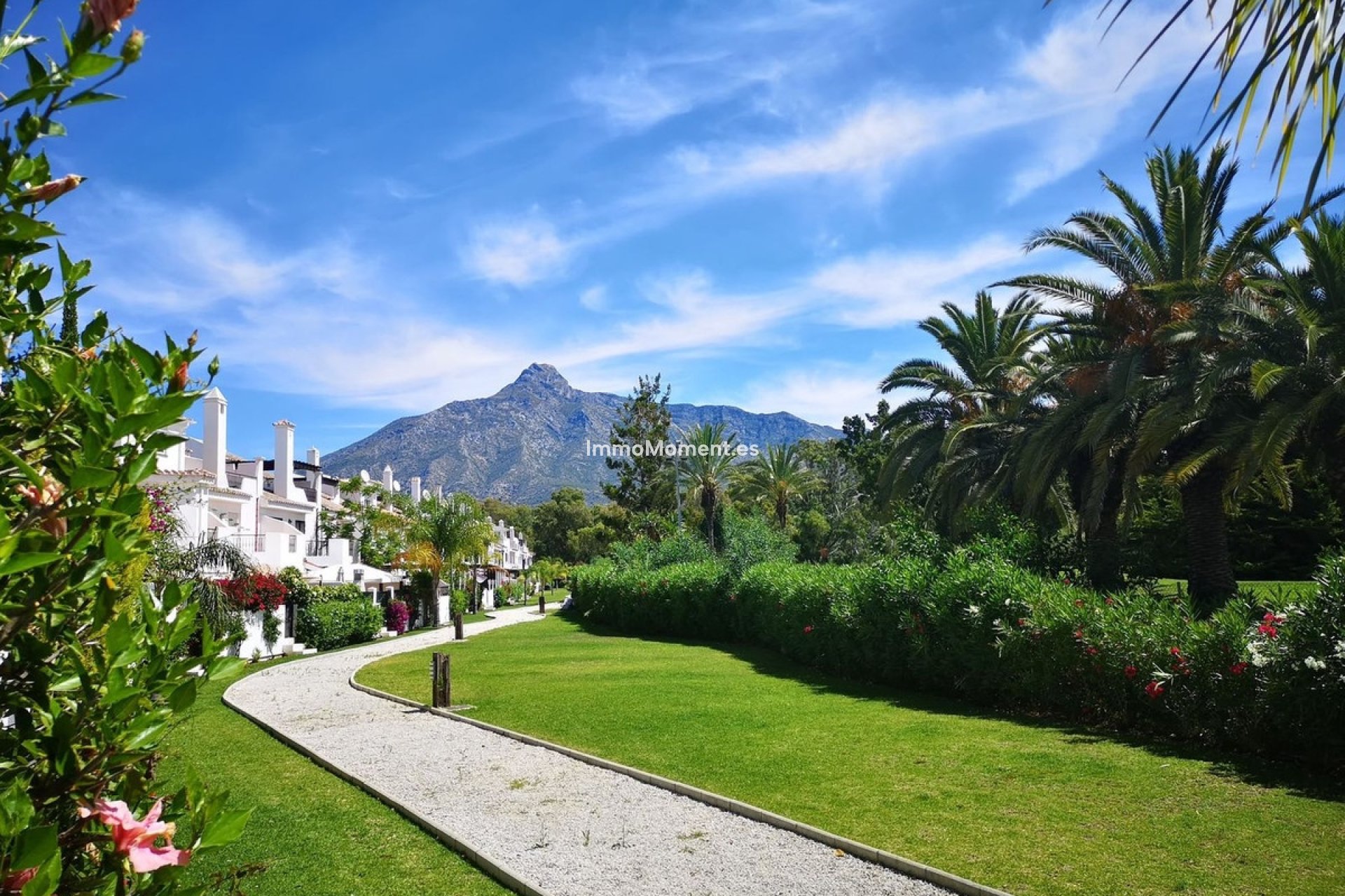 Bestaande woning - Rijtjeshuis - Marbella - Nueva Andalucía