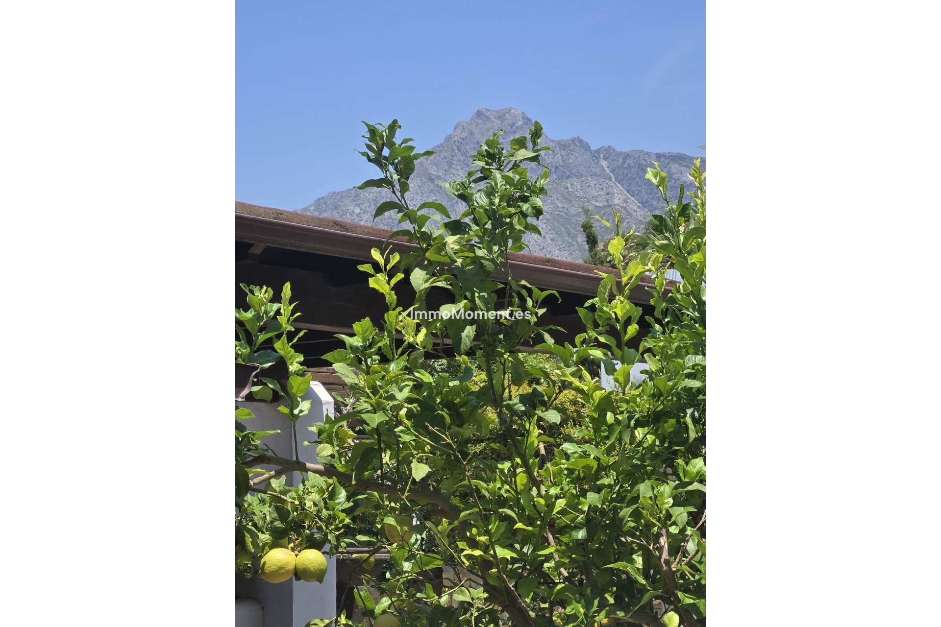 Bestaande woning - Rijtjeshuis - Marbella - The Golden Mile