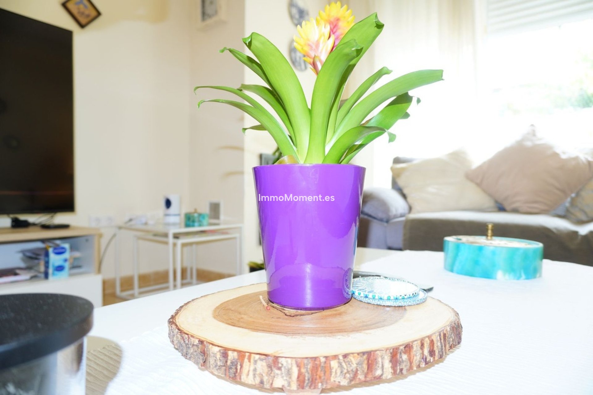 Bestaande woning - Rijtjeshuis - Mijas - Mijas Centro