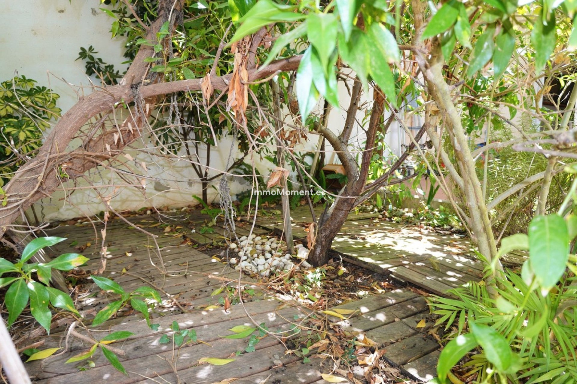 Bestaande woning - Rijtjeshuis - Mijas - Mijas Centro