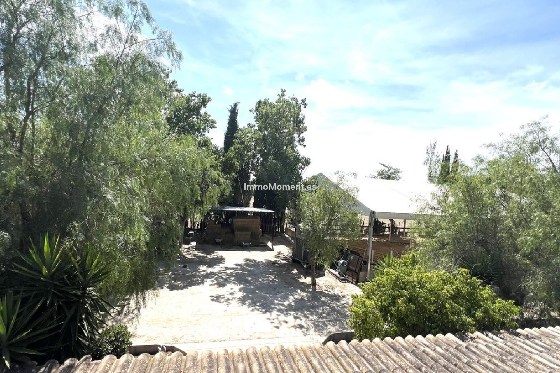 Bestaande woning - Rijtjeshuis - Orihuela - Orihuela Centro