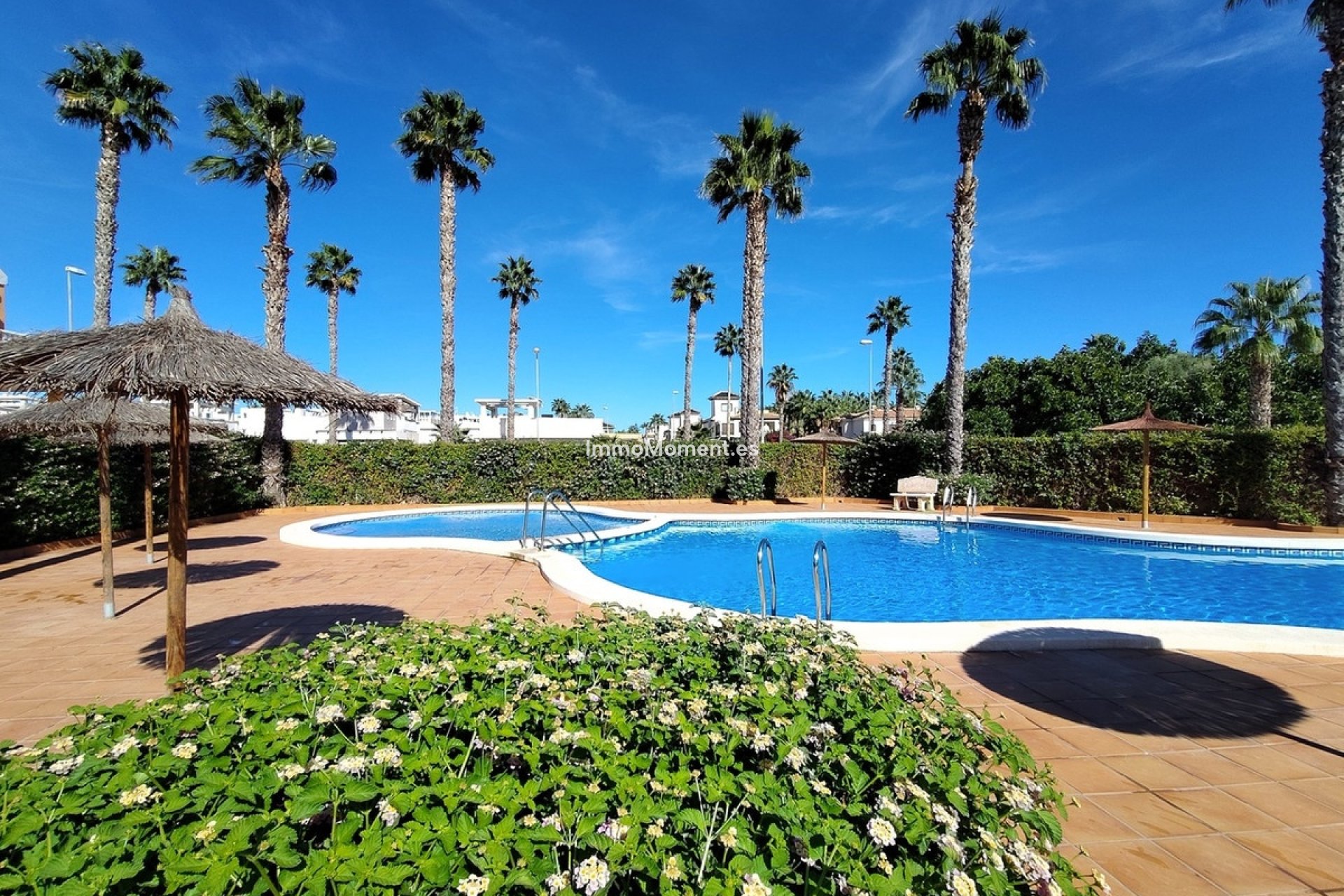 Bestaande woning - Rijtjeshuis - Rojales - Ciudad Quesada