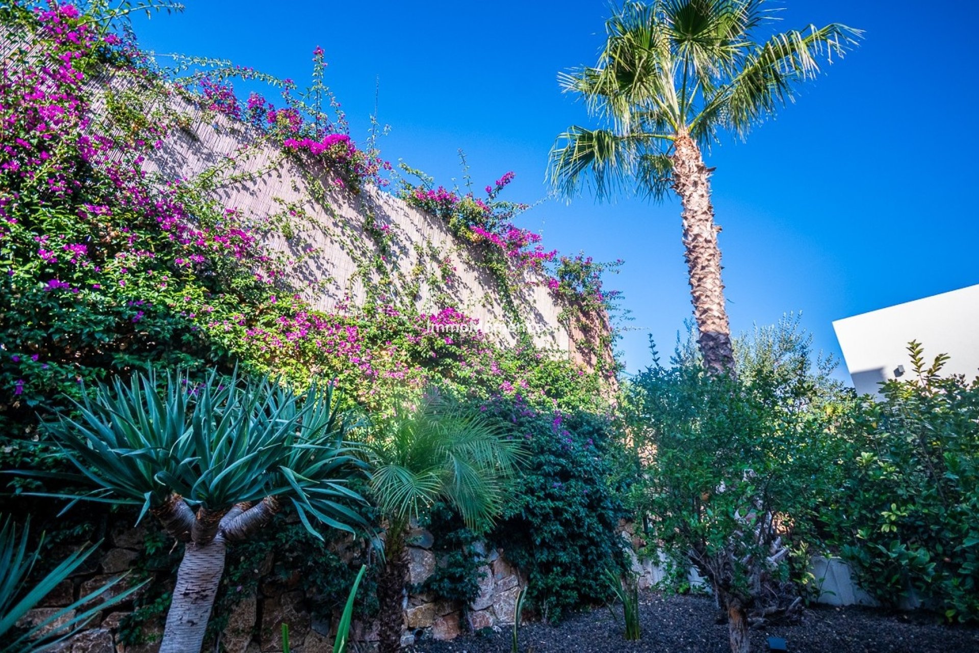 Bestaande woning - Villa - Algorfa - Algorfa Centro