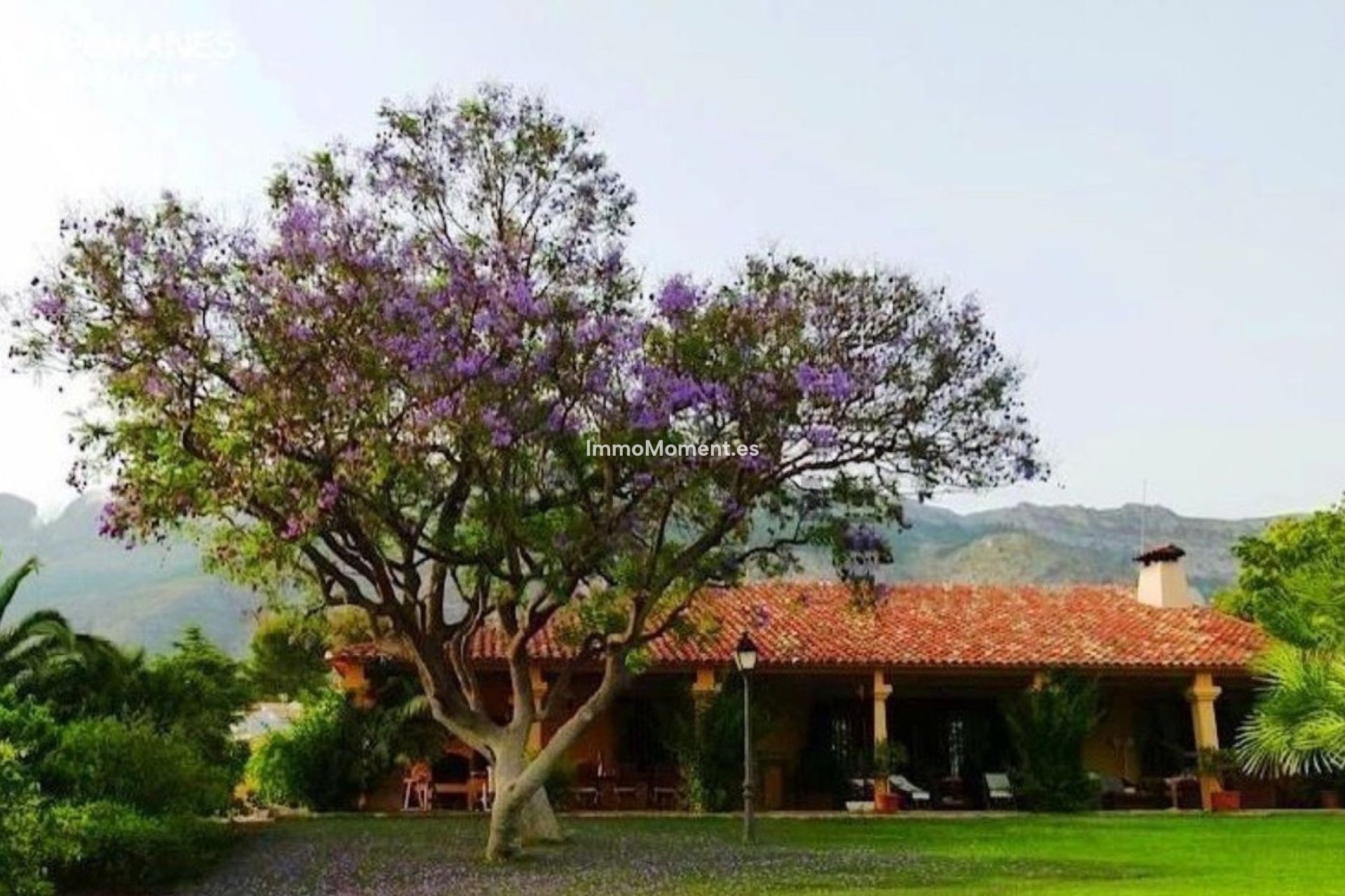 Bestaande woning - Villa - Altea - Altea Centro