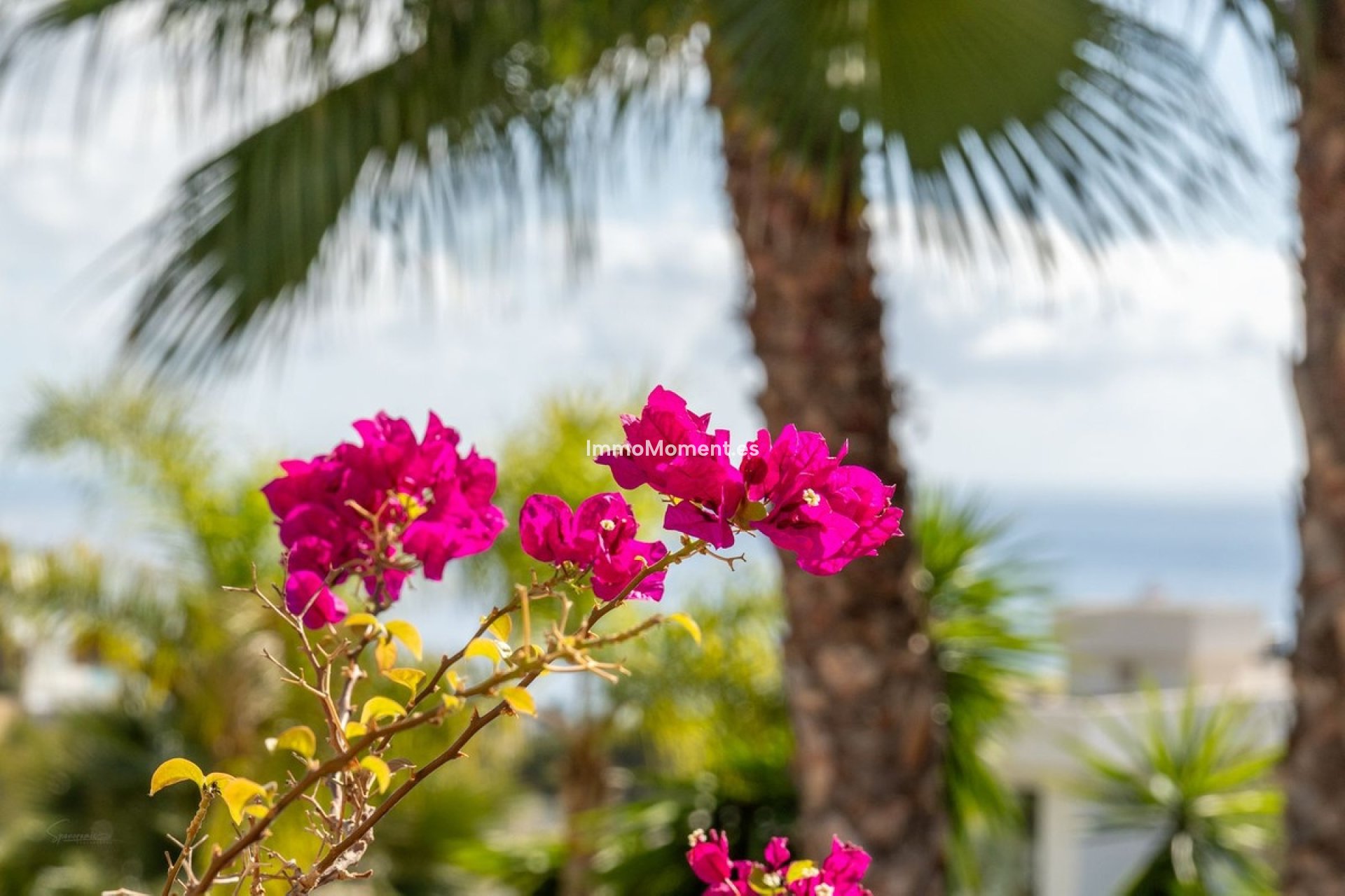 Bestaande woning - Villa - Benissa - Benissa Coast